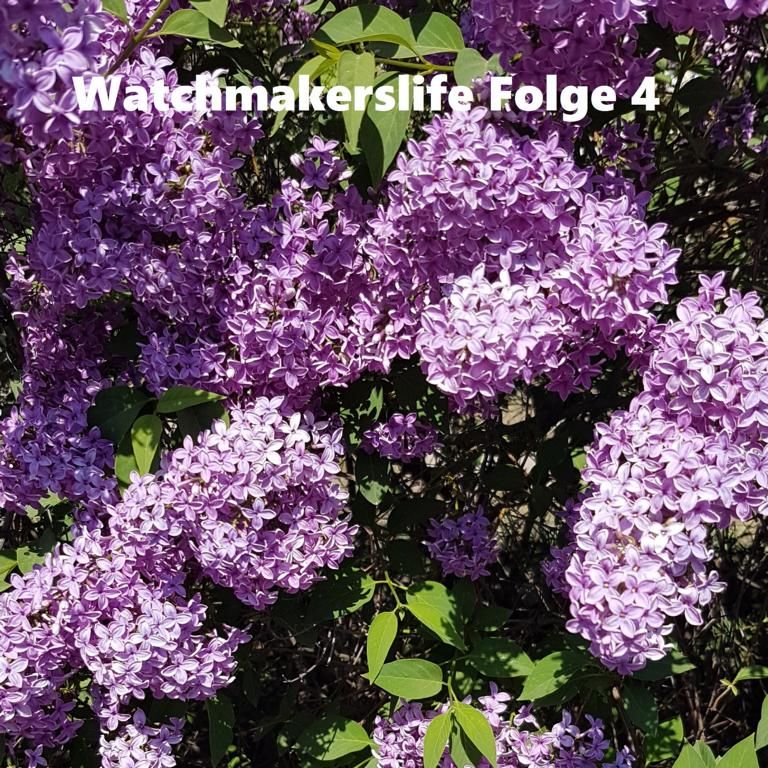 Folge 4 - Ein bewusstes und achtsames Leben führen zu Gast Frank Ehreke