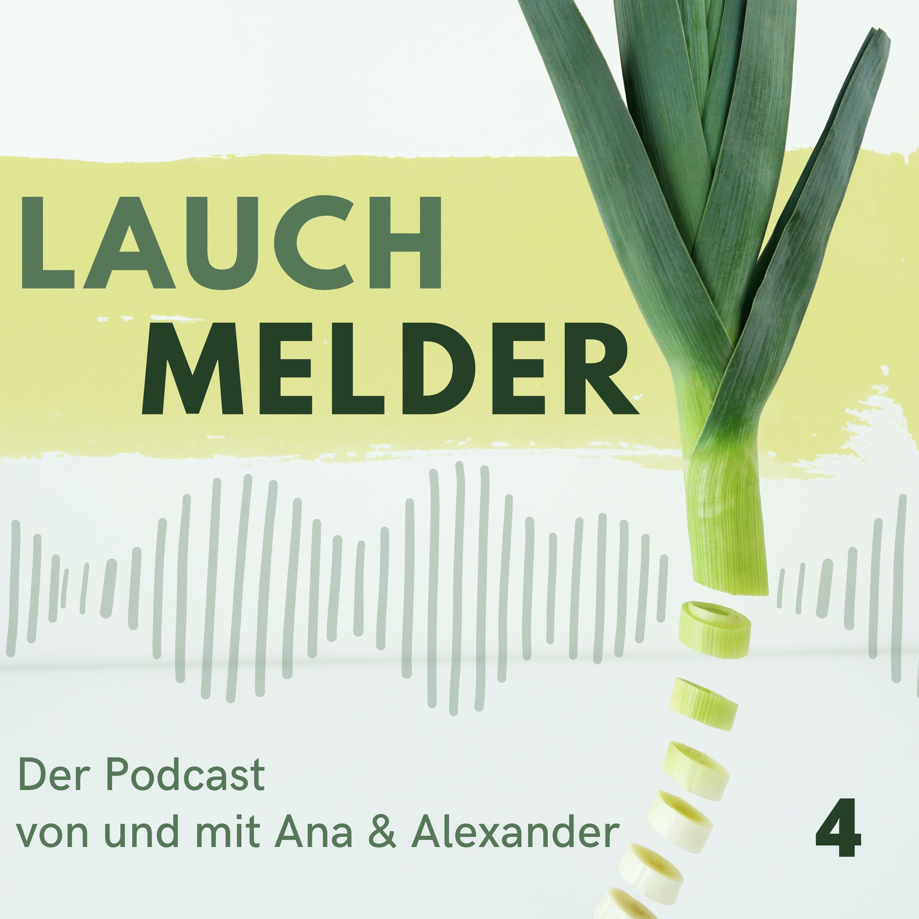 Folge 4: Fehlschlüsse und Scheinargumente - worauf wir bei Argumenten achten sollten