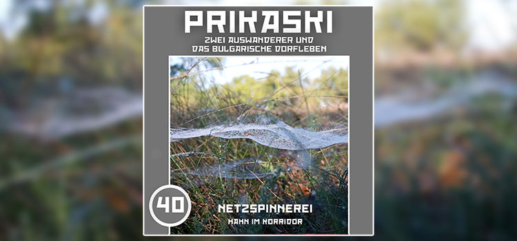 Folge 40: Netzspinnerei – Der Hahn im Korridor
