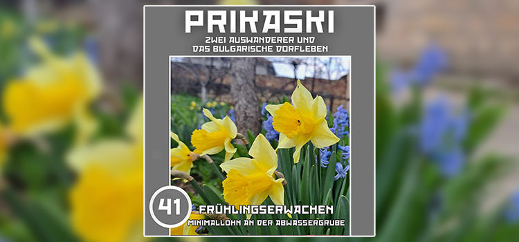 Folge 41: Frühlingserwachen – Minimallohn an der Abwassergrube