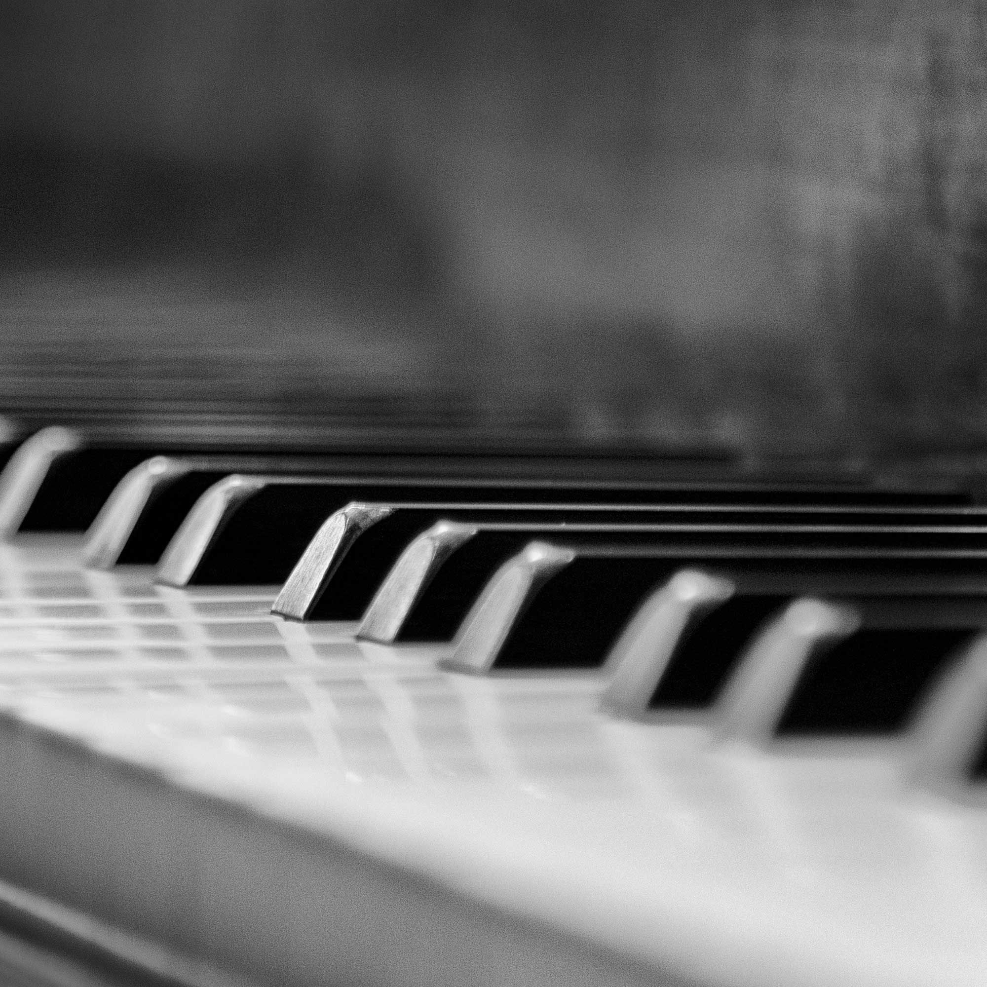 Folge 51 - Piafs jüdischer Pianist - Der Würzburger Norbert Glanzberg und die "Schönheit" von Holocaust-Liedern