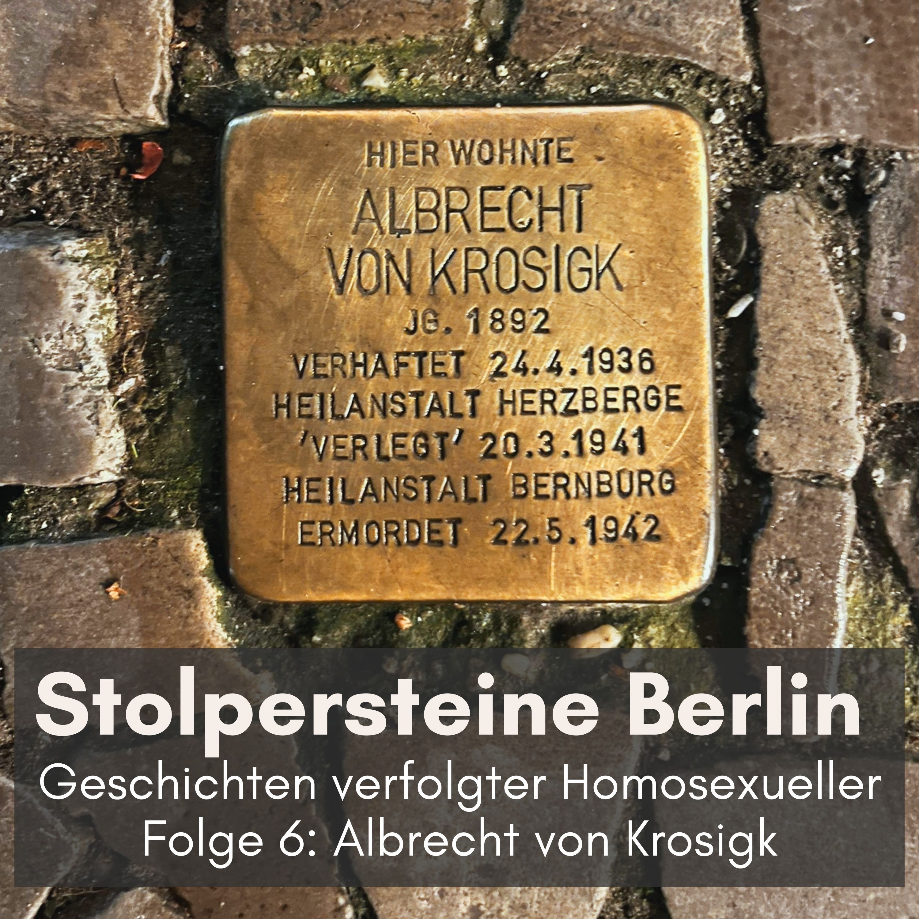 Folge 6: Albrecht von Krosigk