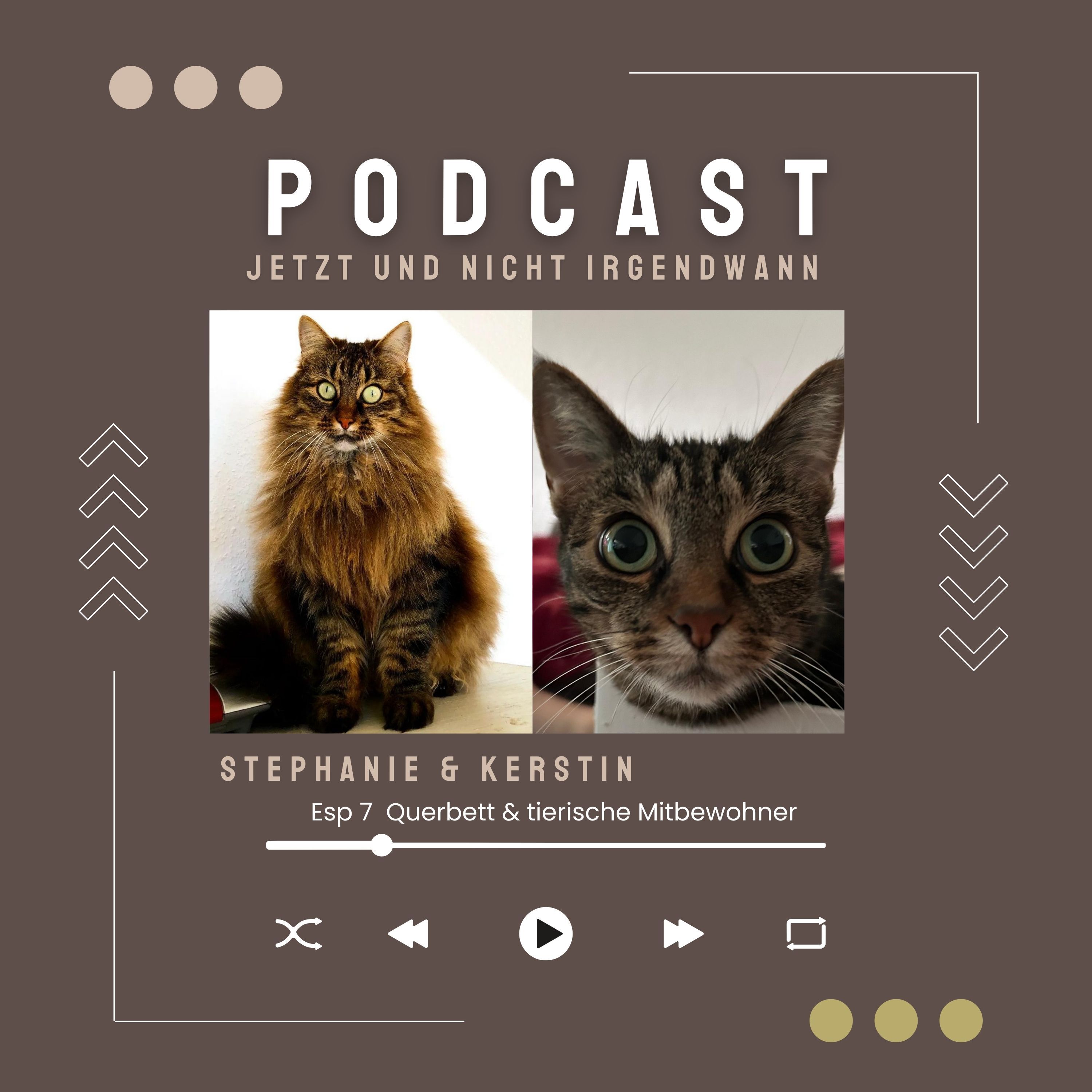 Folge 6 Querbeet & tierische Mitbewohner