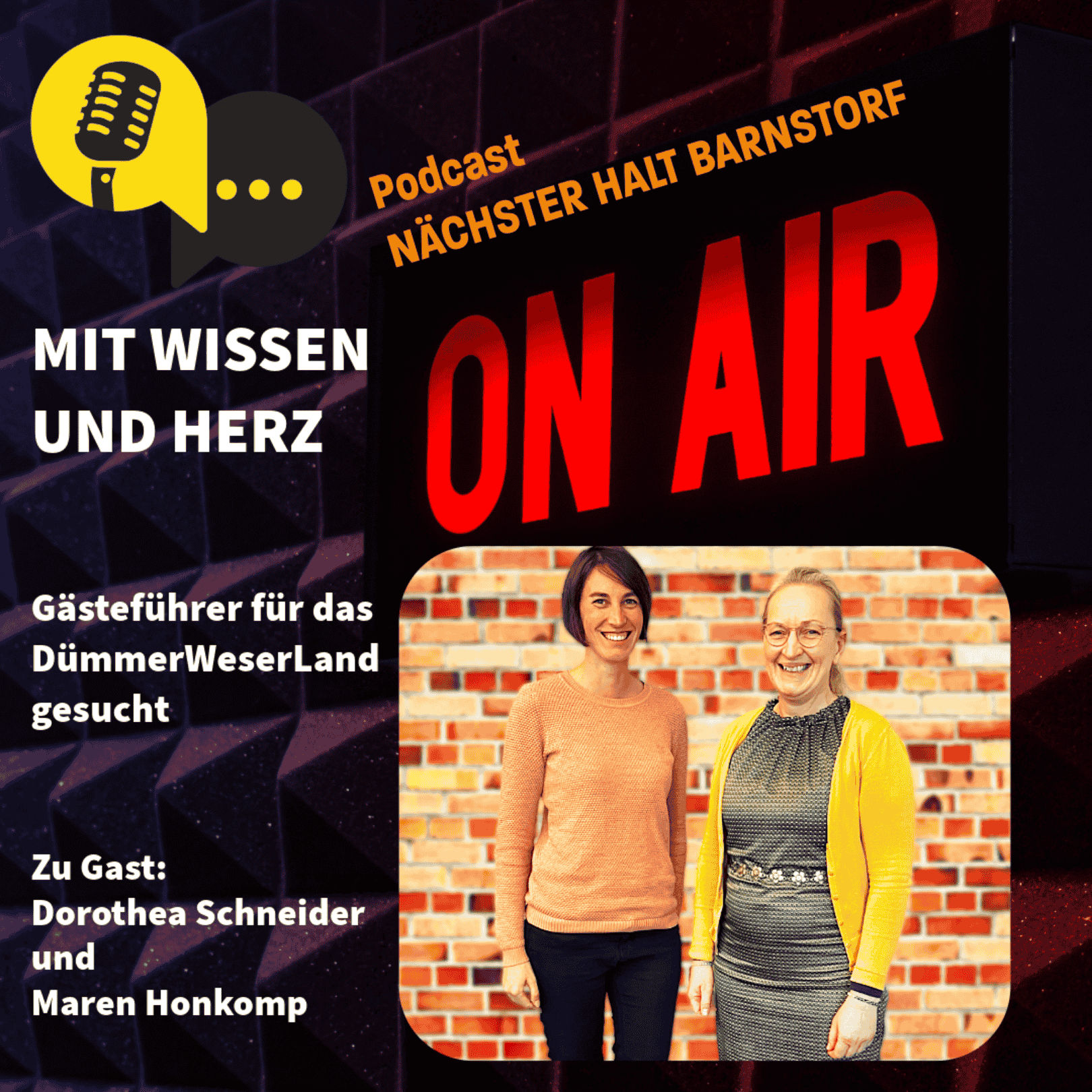 Folge 74: Mit Wissen und Herz - Gästeführer für das DümmerWeserLand gesucht