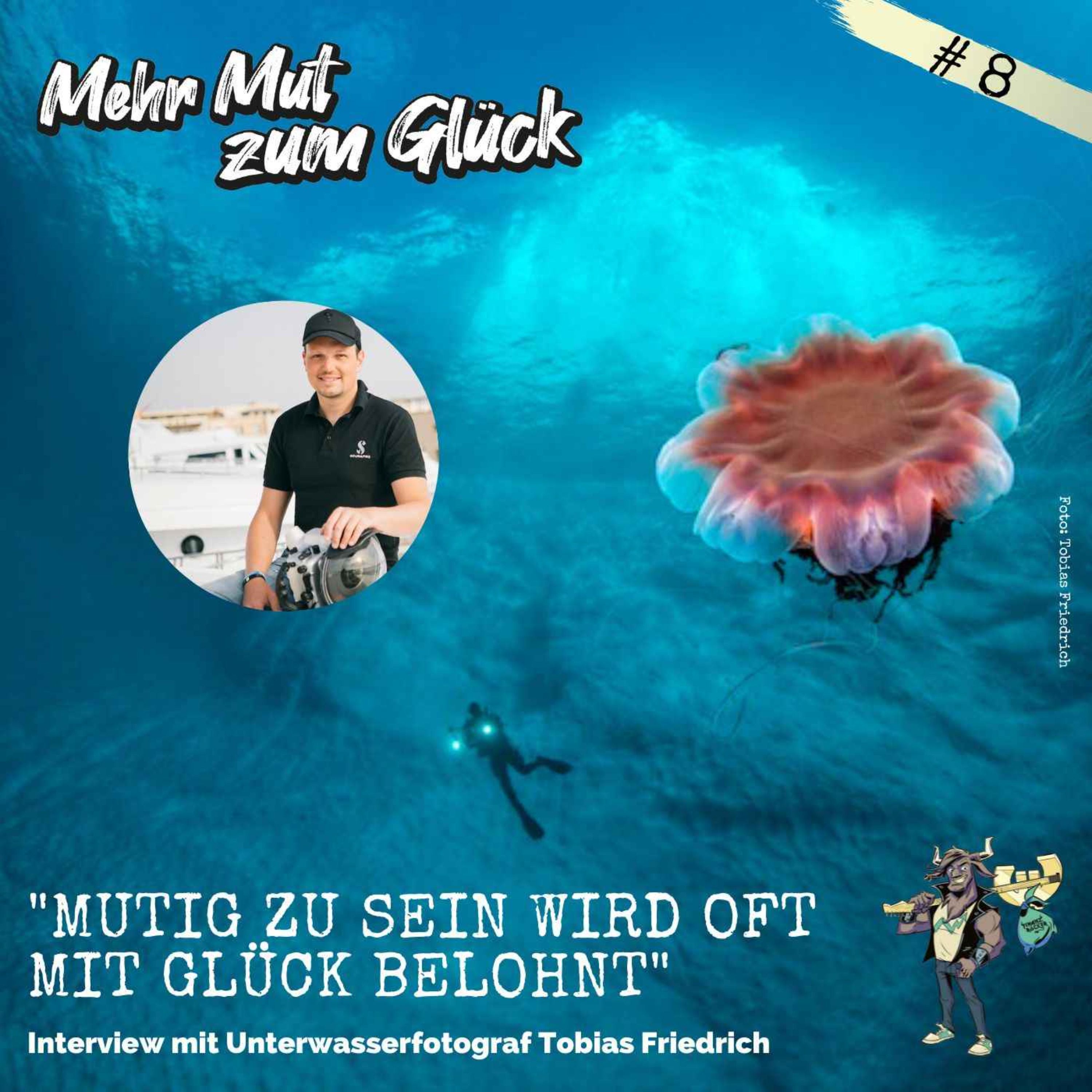 Folge 8: "Mutig zu sein wird oft mit Glück belohnt" - Interview mit Unterwasserfotograf Tobias Friedrich