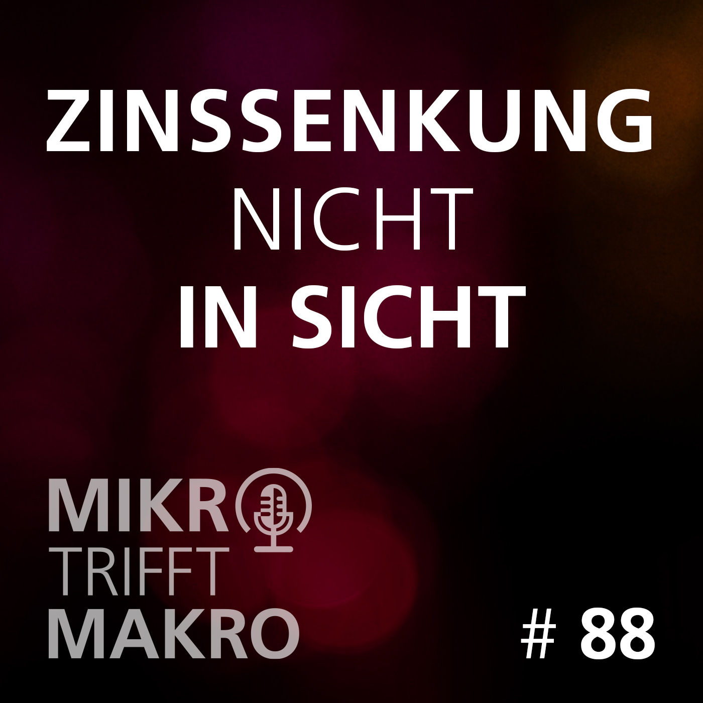 Folge 88 - Zinssenkung nicht in Sicht