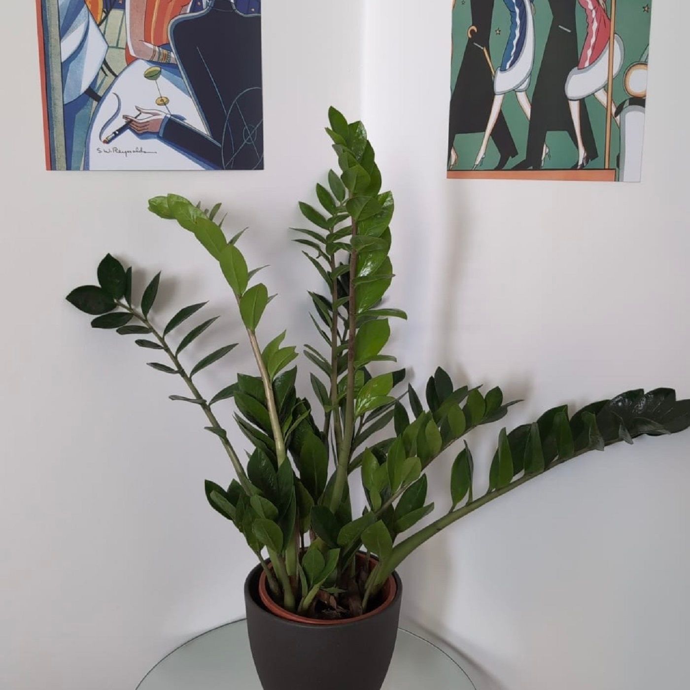 Folge 9 - Fieten am Limit – Cocktails, Motorräder und mehr!