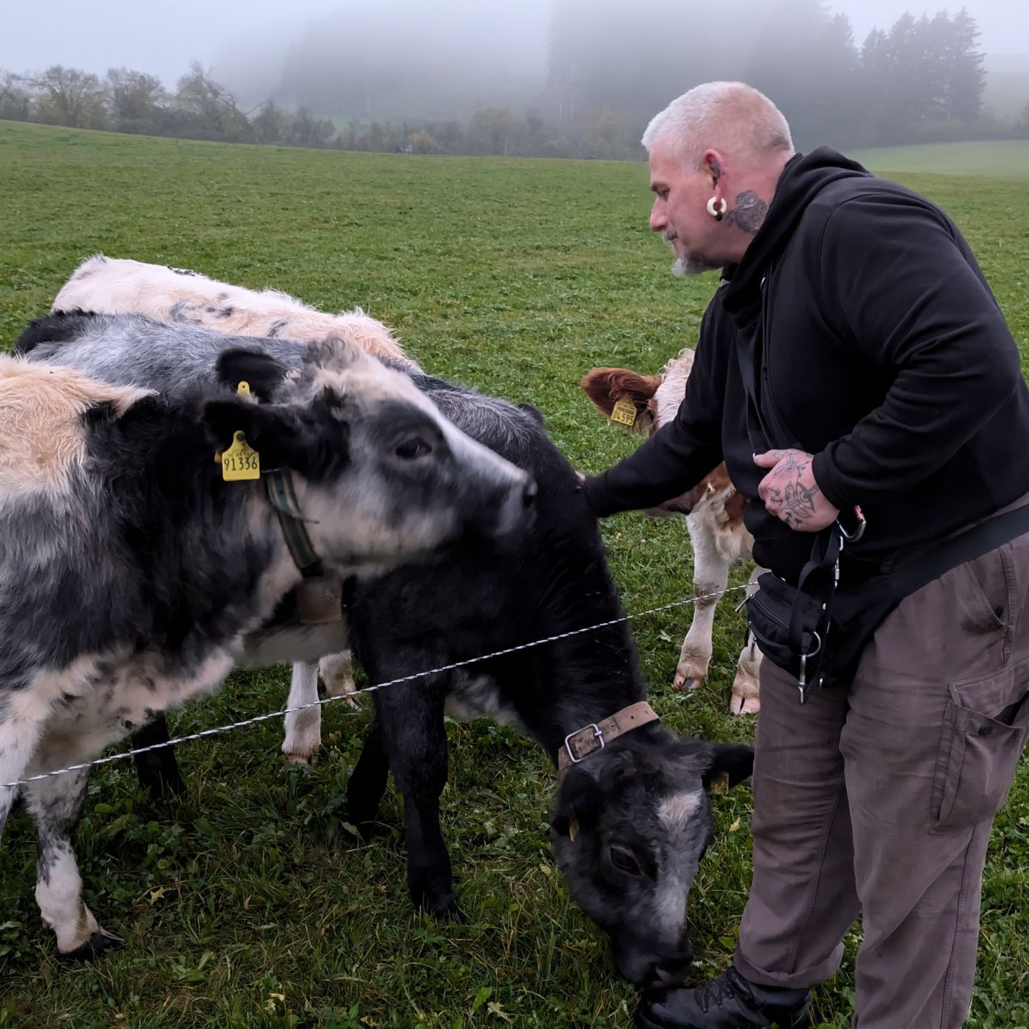 Schmidti kommt ins Allgäu und findet sein Paradis
