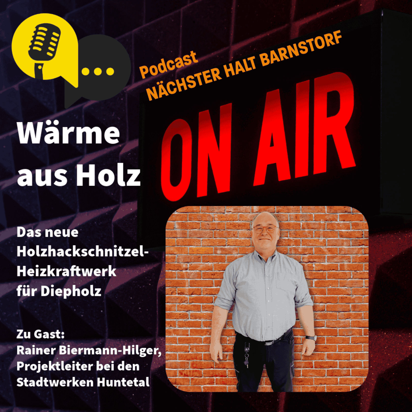 Folge 91: Wärme aus Holz – Das neue Holzhackschnitzel-Heizkraftwerk für Diepholz
