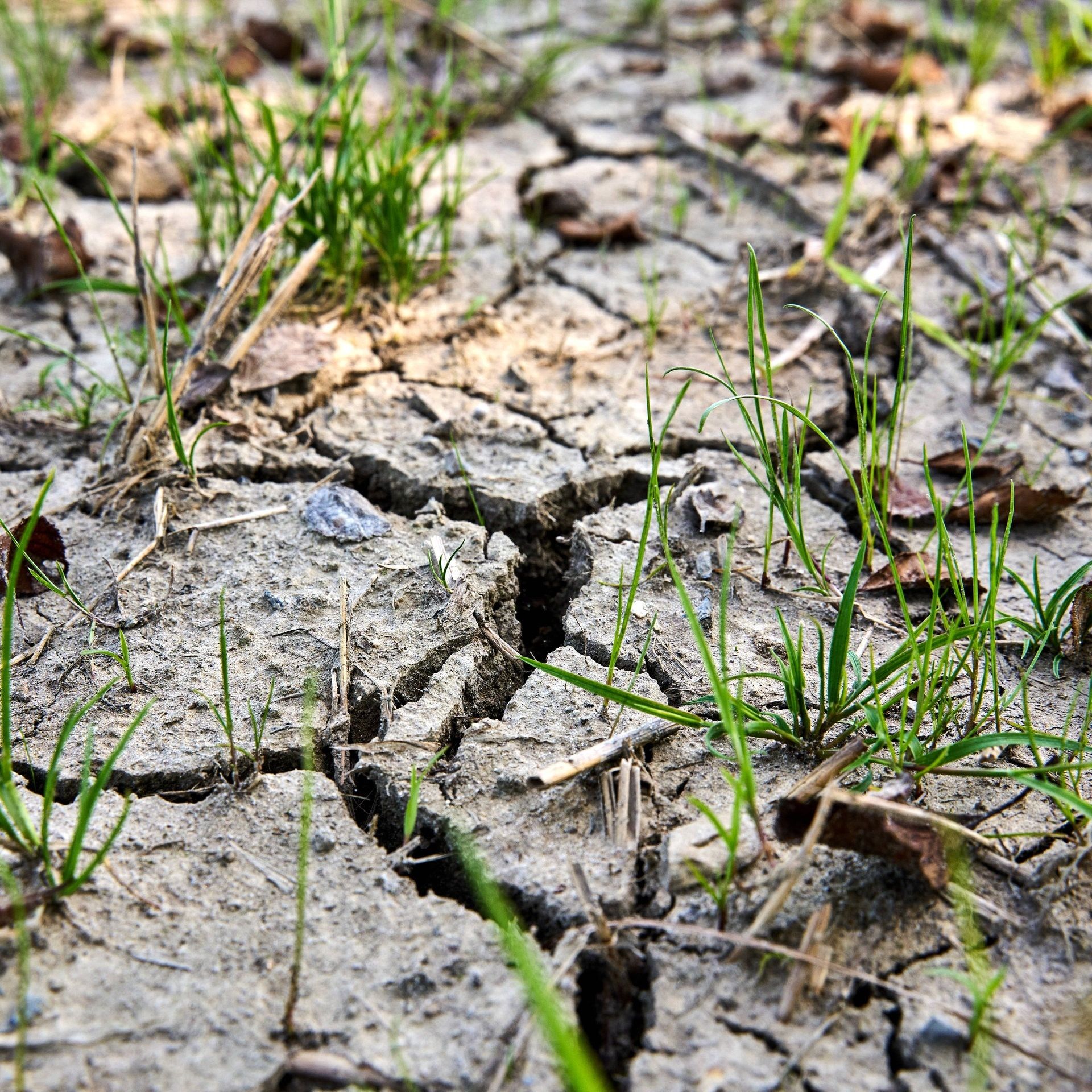 Forscher erwarten „Super-El-Niño“ – Droht ein Jahr der Wetterextreme?