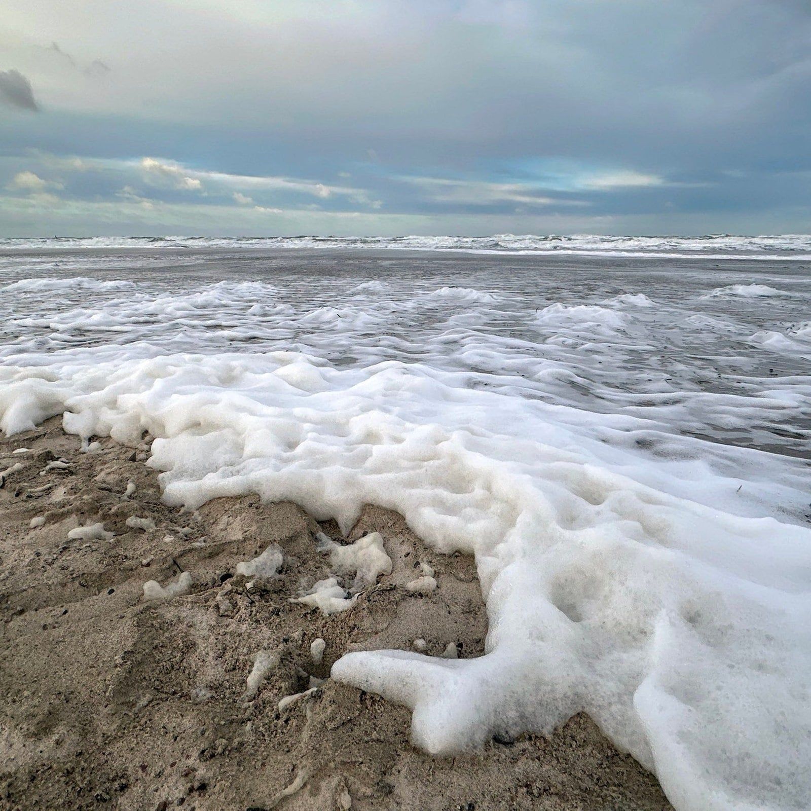 Forscher: Tote Fische zeigen schlechten Zustand der Ostsee