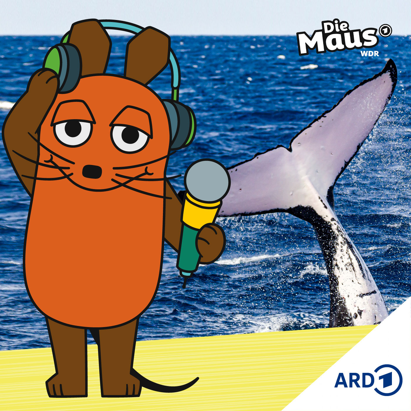 Forscher untersuchen Wale mit Drohnen