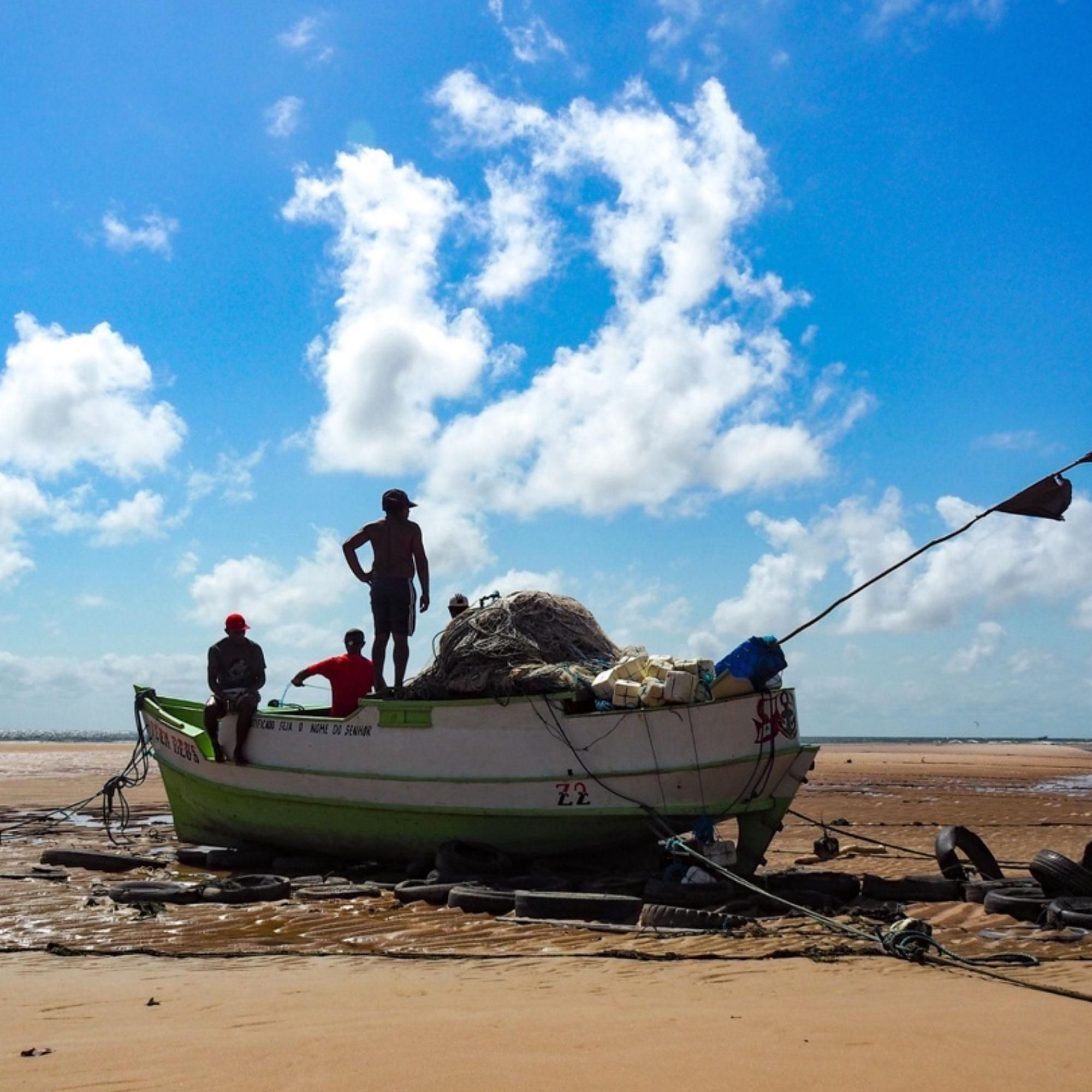 Fotografie und Forschung: Pia Parolin berichtet von ihrer Reise ins brasilianische Amazonasgebiet