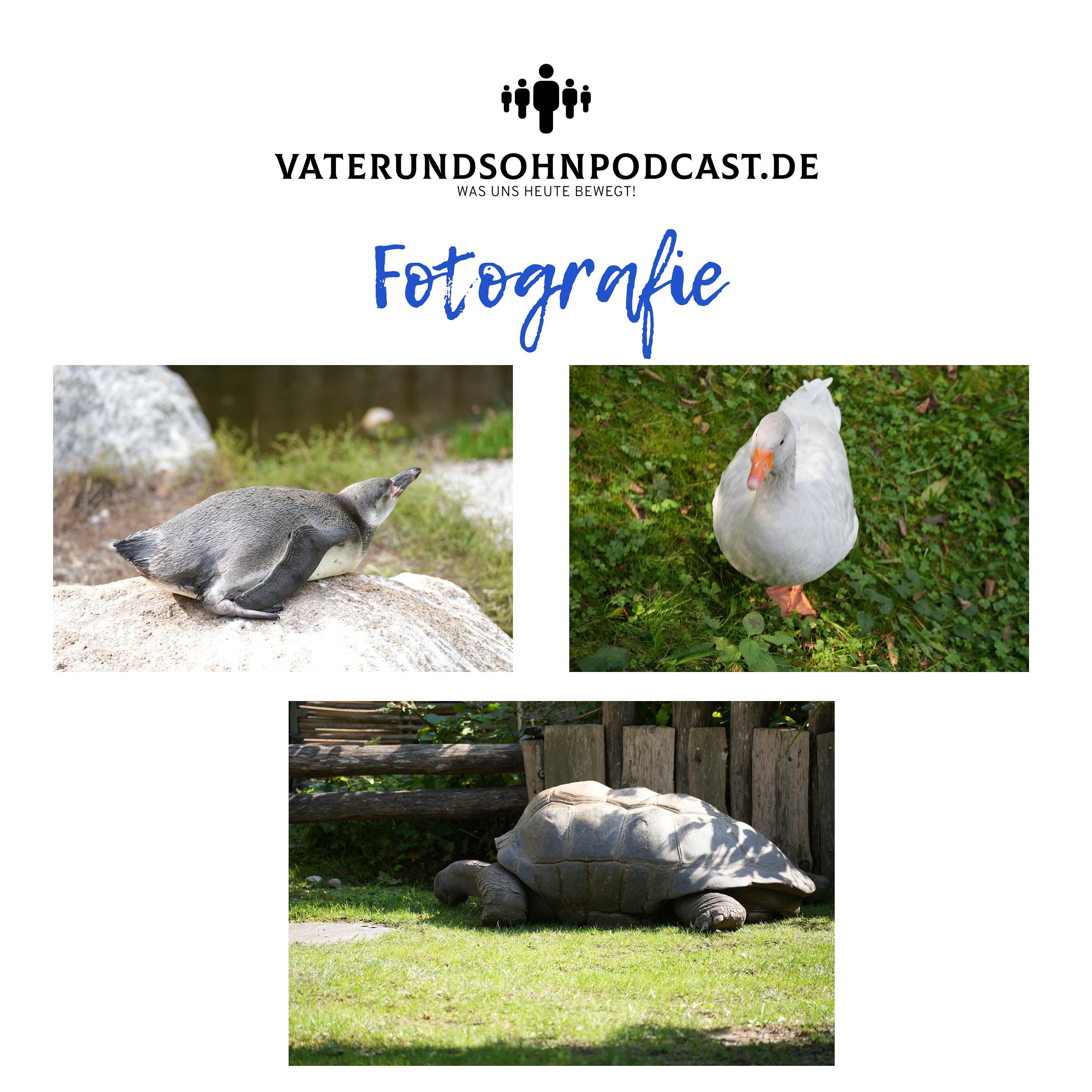 Fotografie - Warum wir fotografieren, Ausrüstung, Fotoshow und Leidenschaft