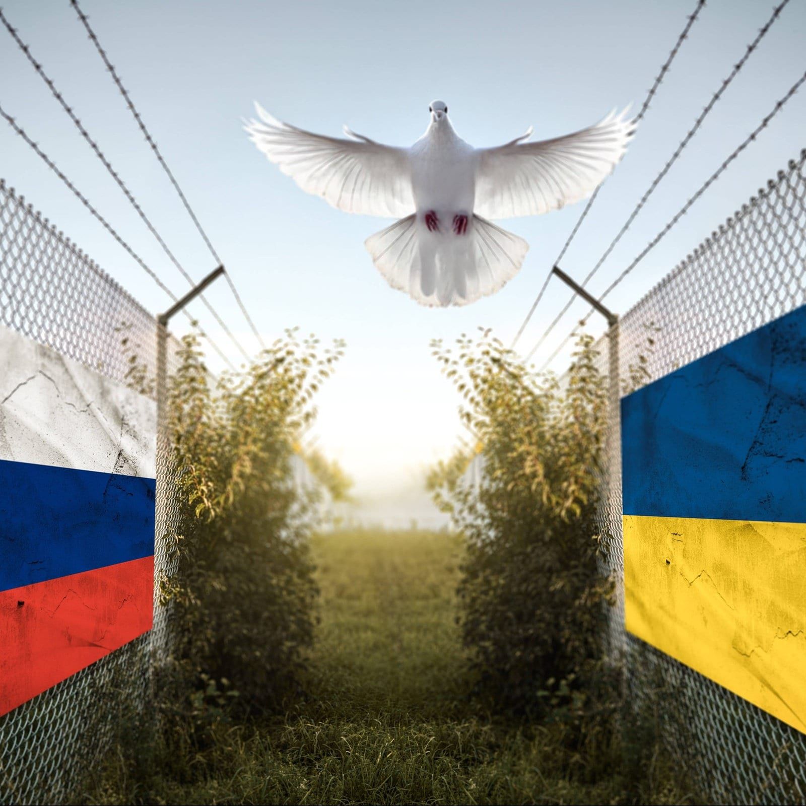 Frieden in der Ukraine nur mit ausländischen Truppen?