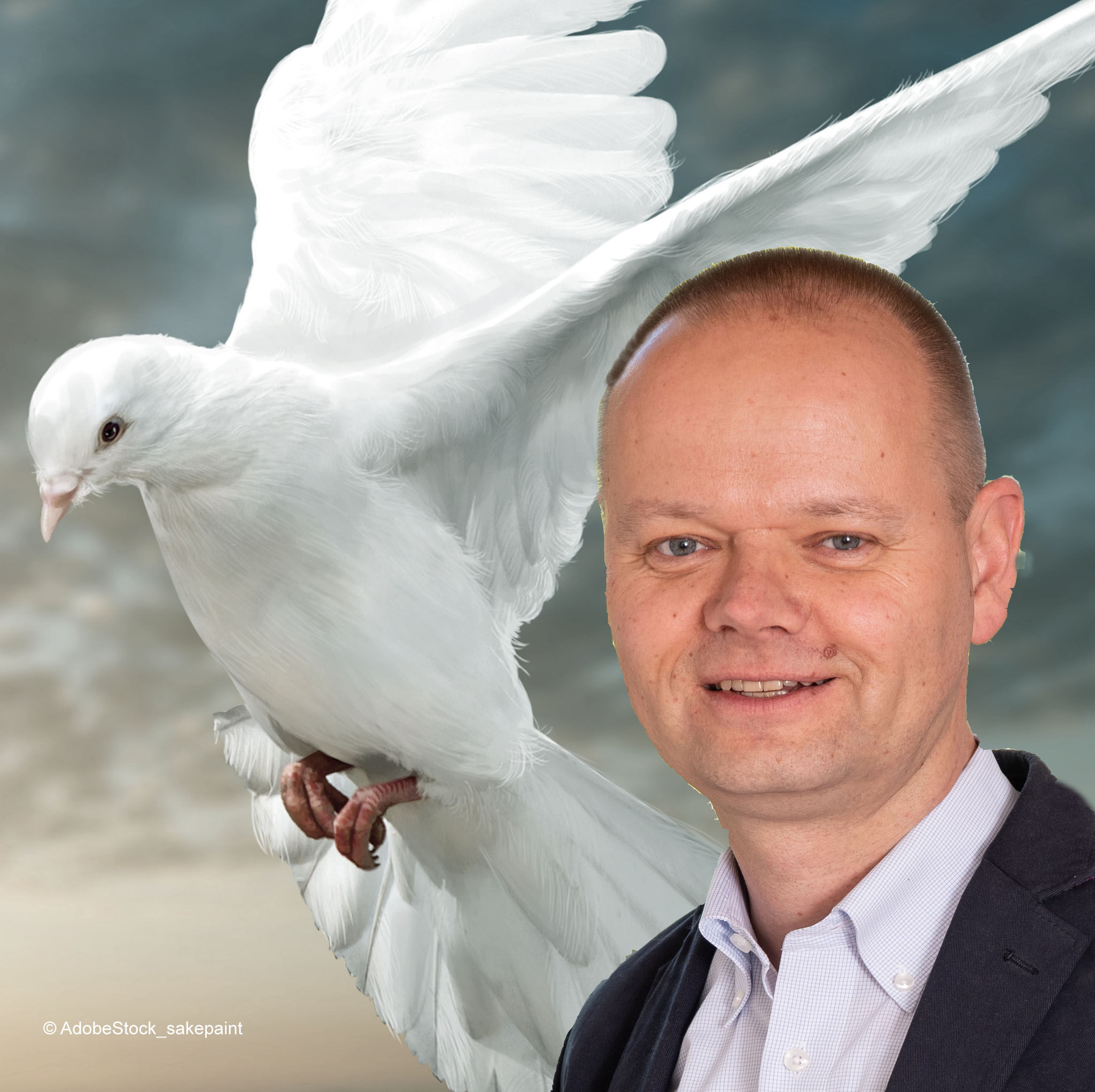 Frieden schaffen