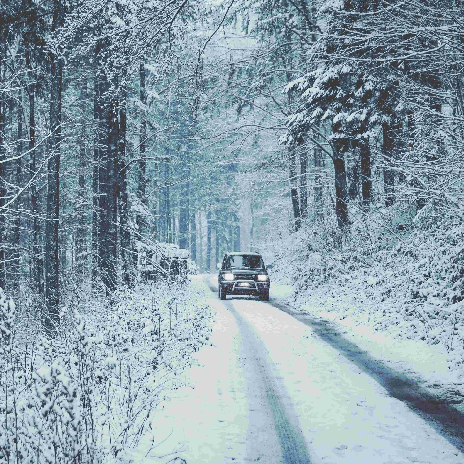 Ein eiskalter Plan - Frost