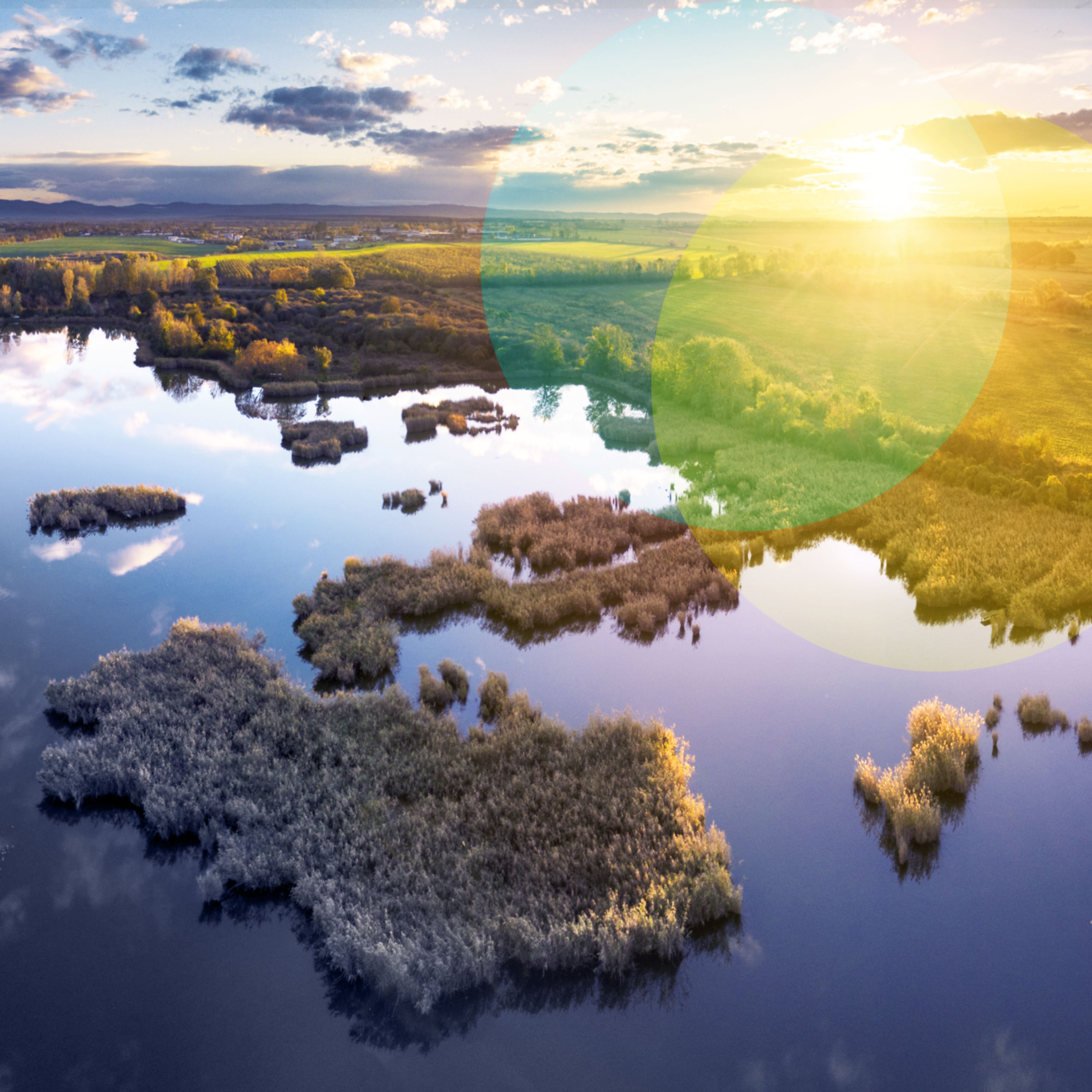 Fruchtbar und furchtbar: Moor is more!