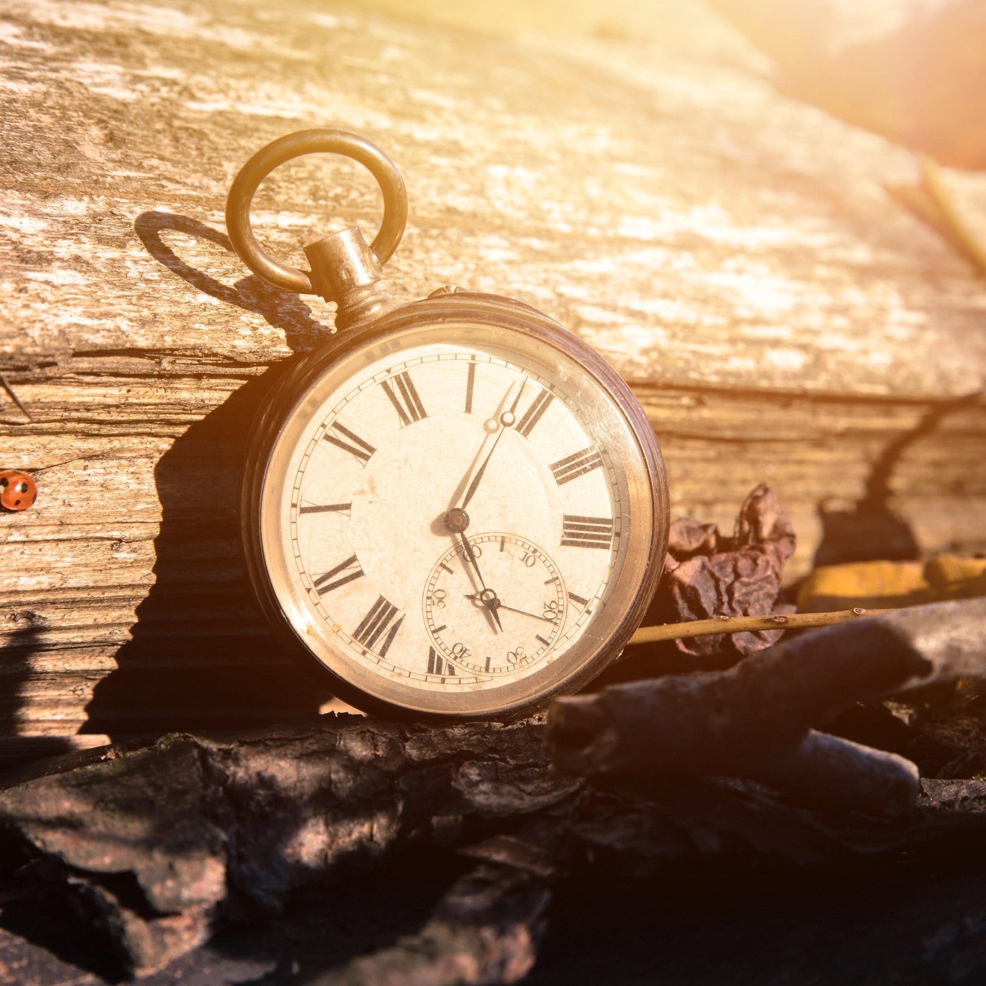 „Früher war alles anders“ – Warum sind wir so nostalgisch?