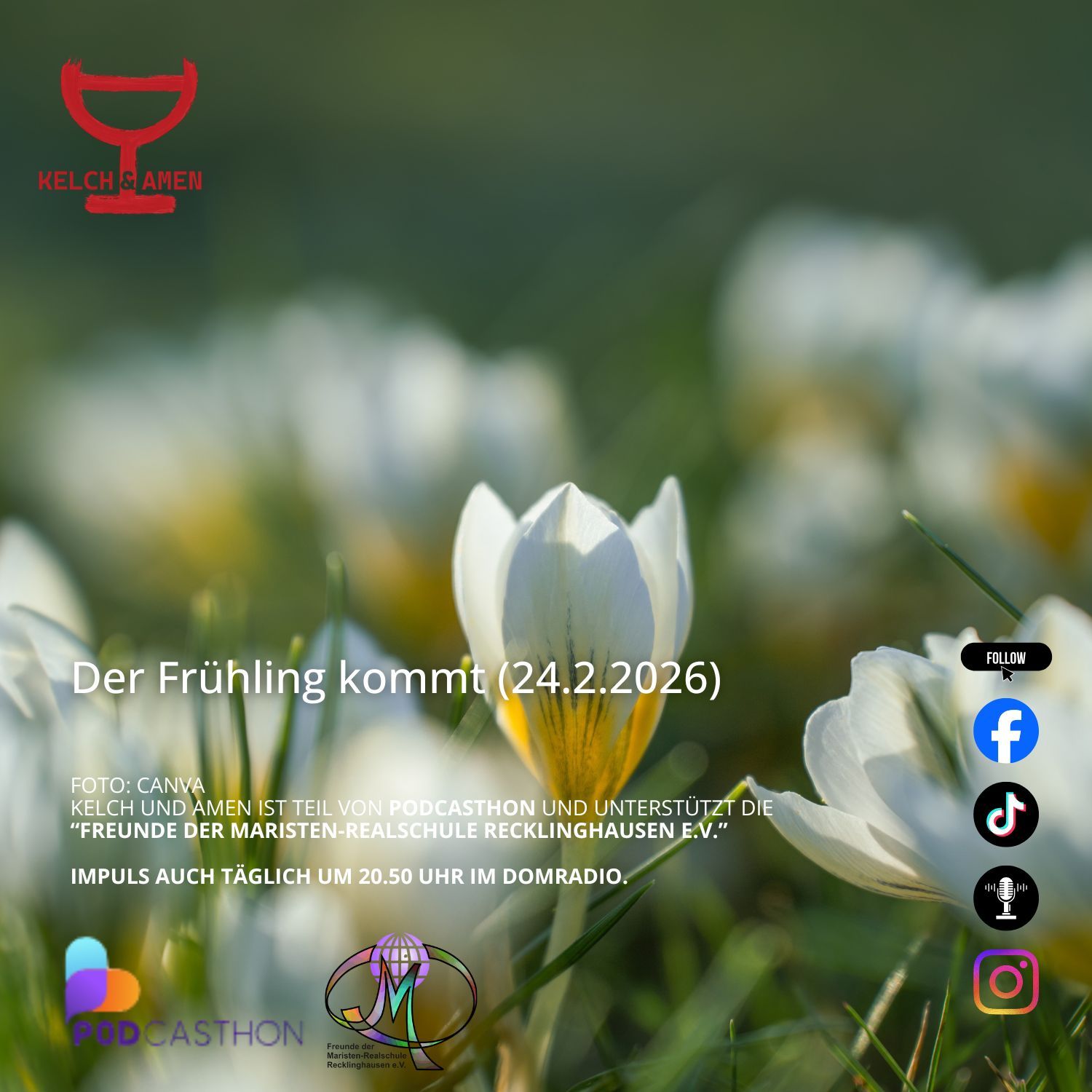 Frühling (24.2.2026)