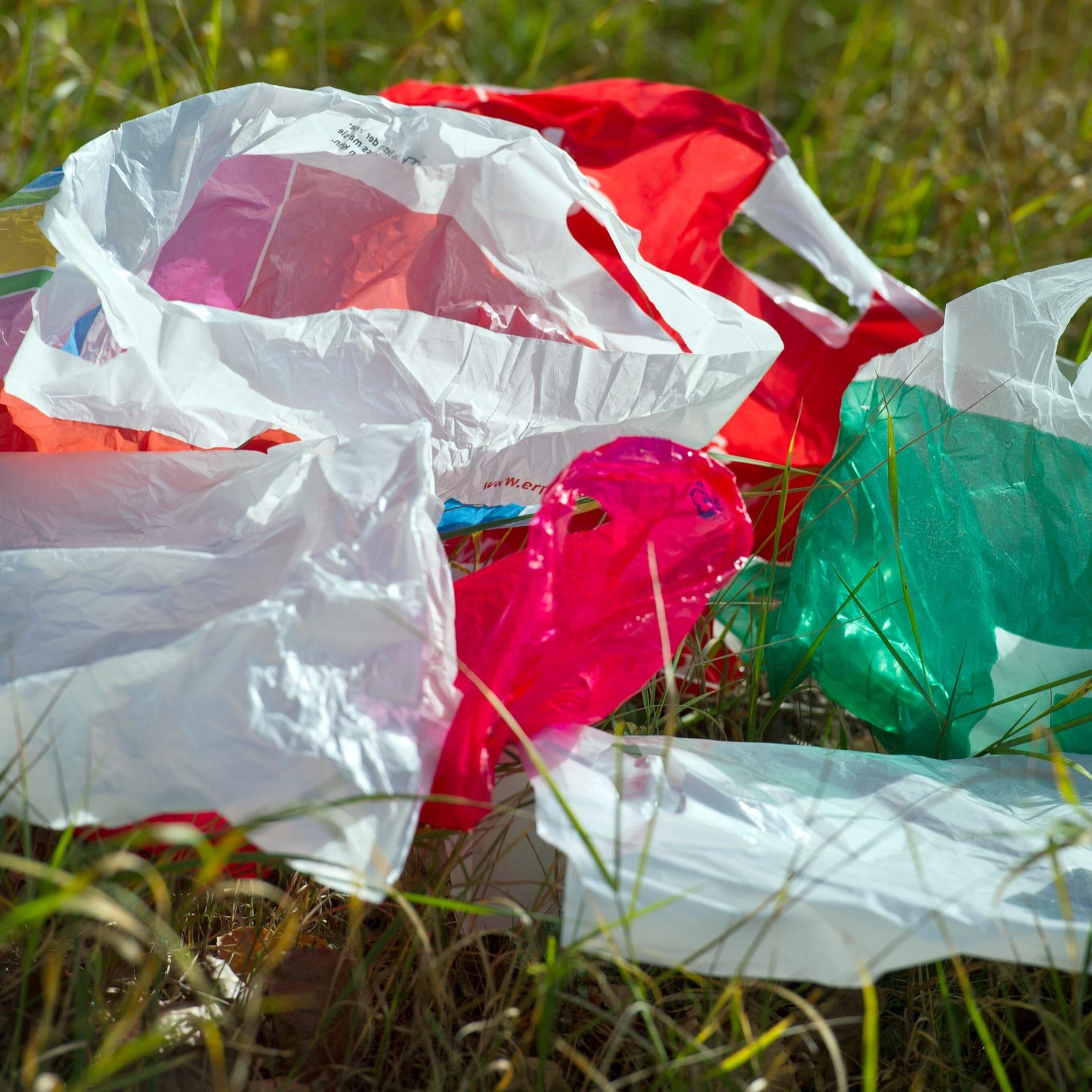Fünf Jahre Plastiktüten-Verbot in deutschen Supermärkten