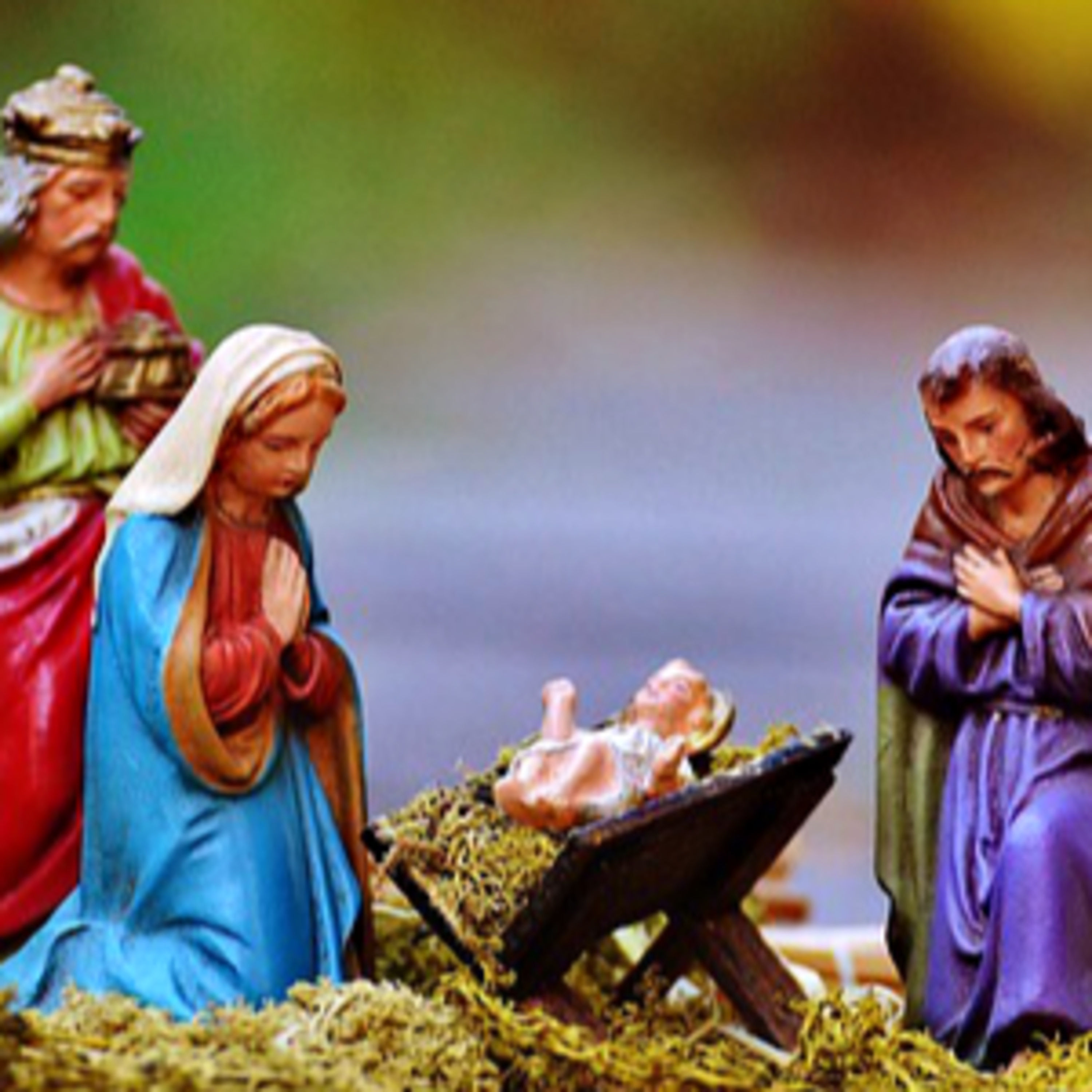 Futterkrippe und Stolpersteine