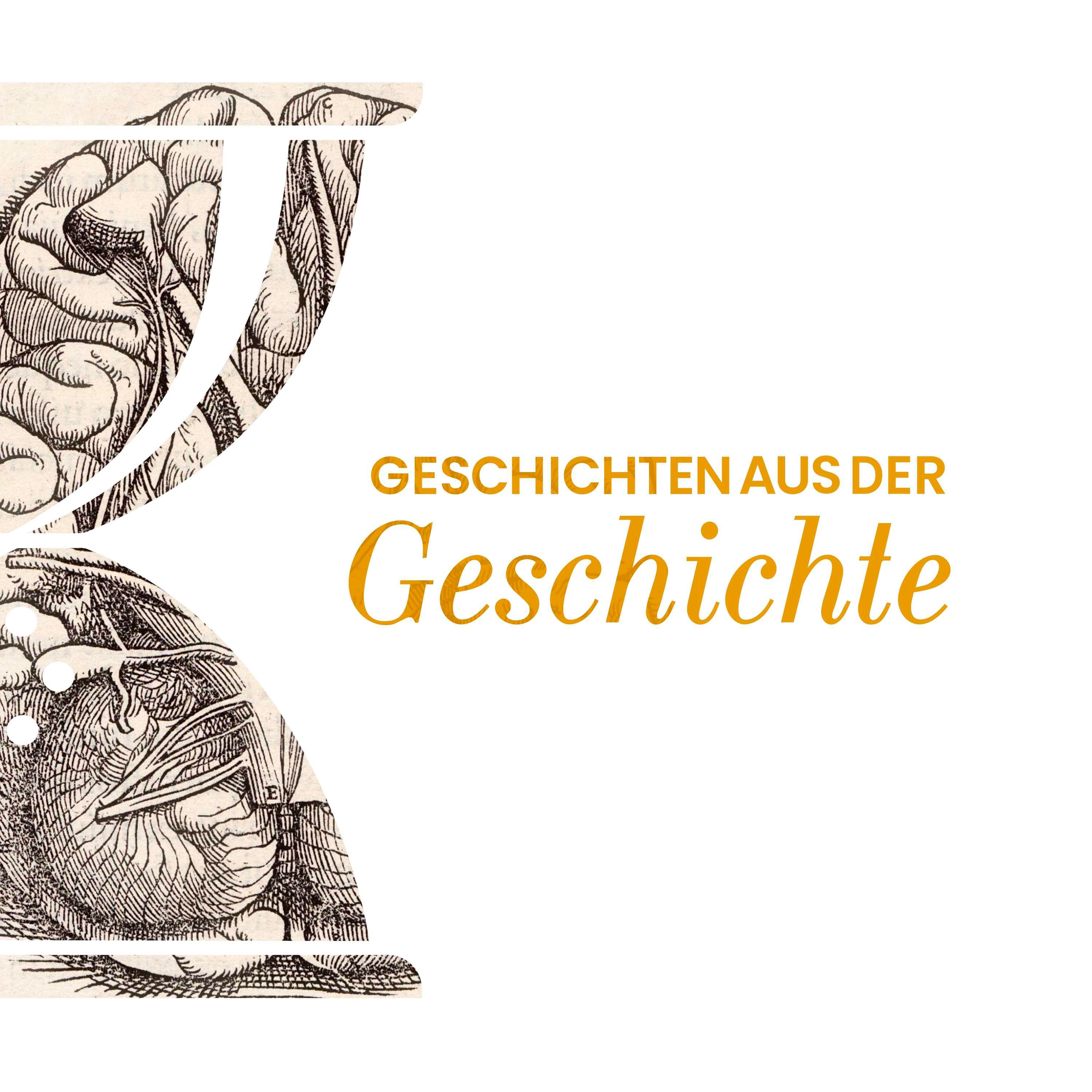 GAG454: Geniale Gehirne