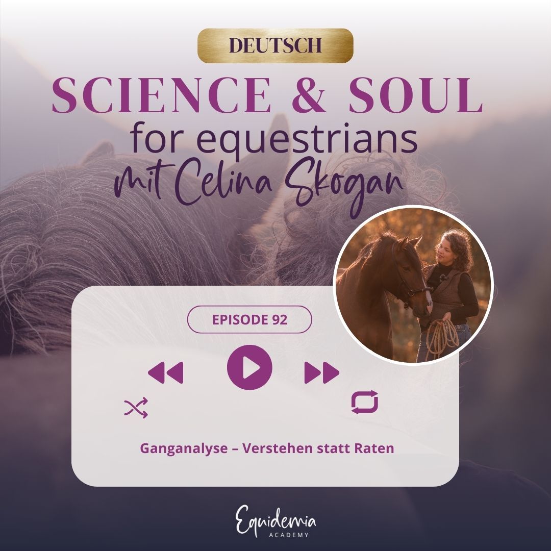 Ganganalyse – Verstehen statt Raten