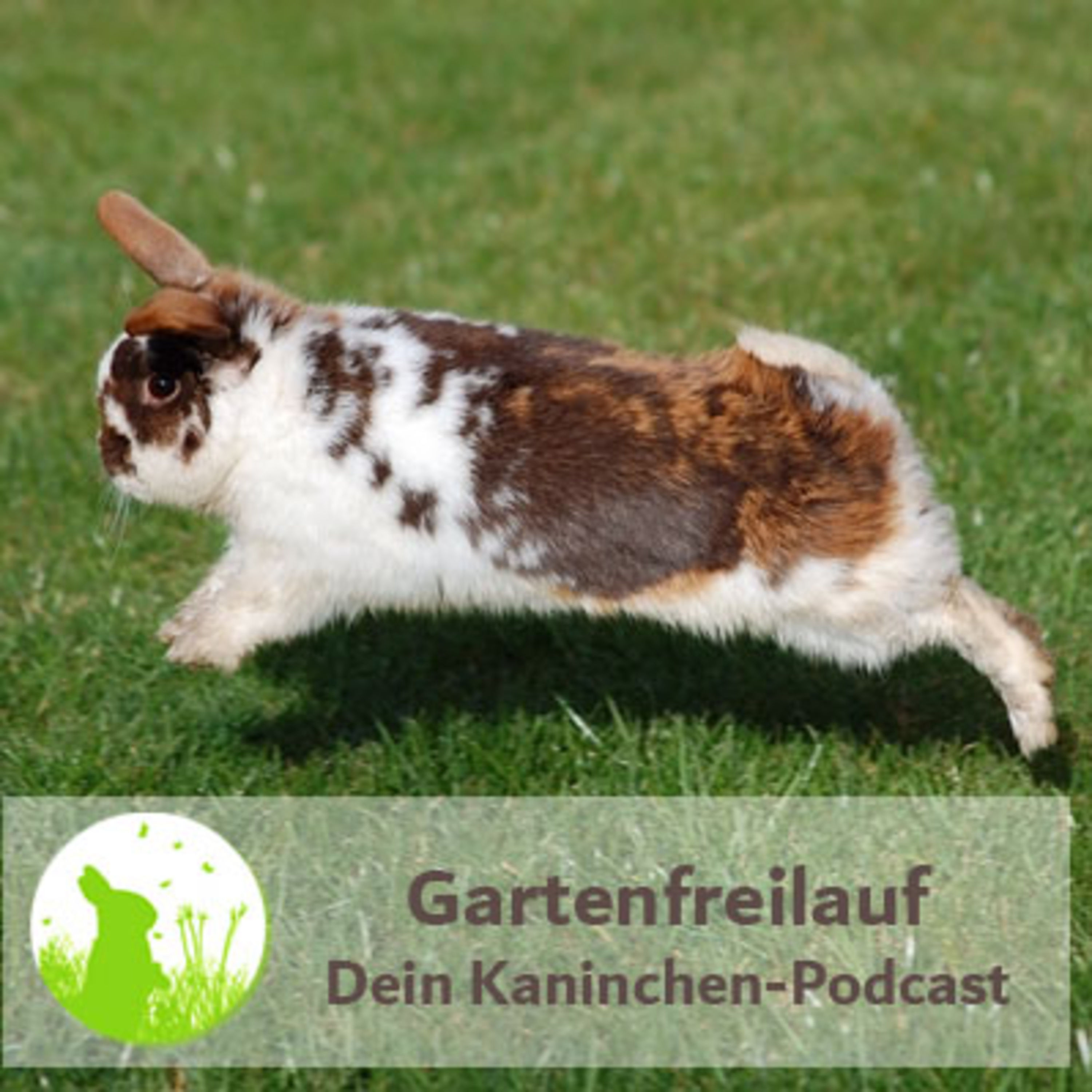 Gartenfreilauf Tipps und Tricks