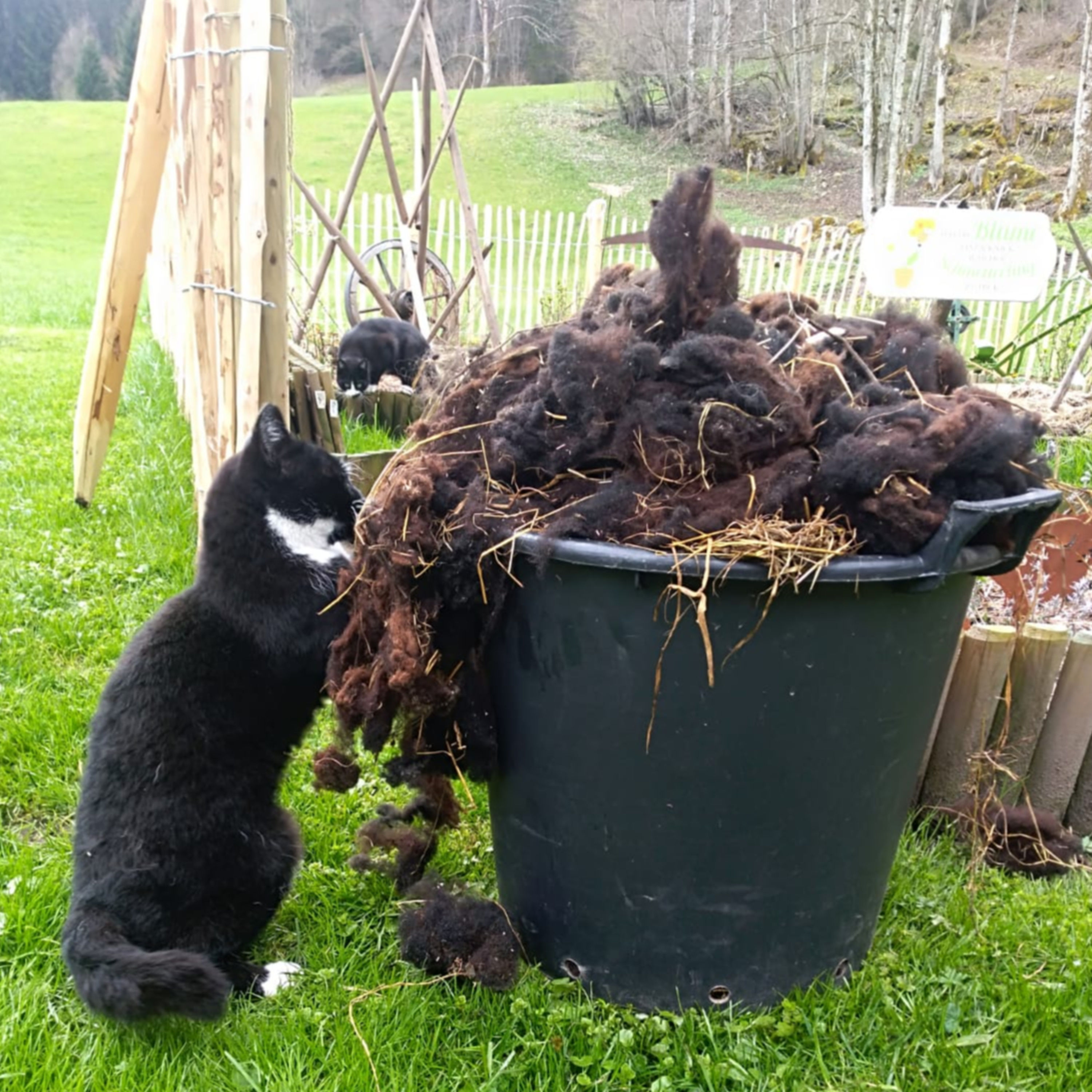 Gartenzaungespräche