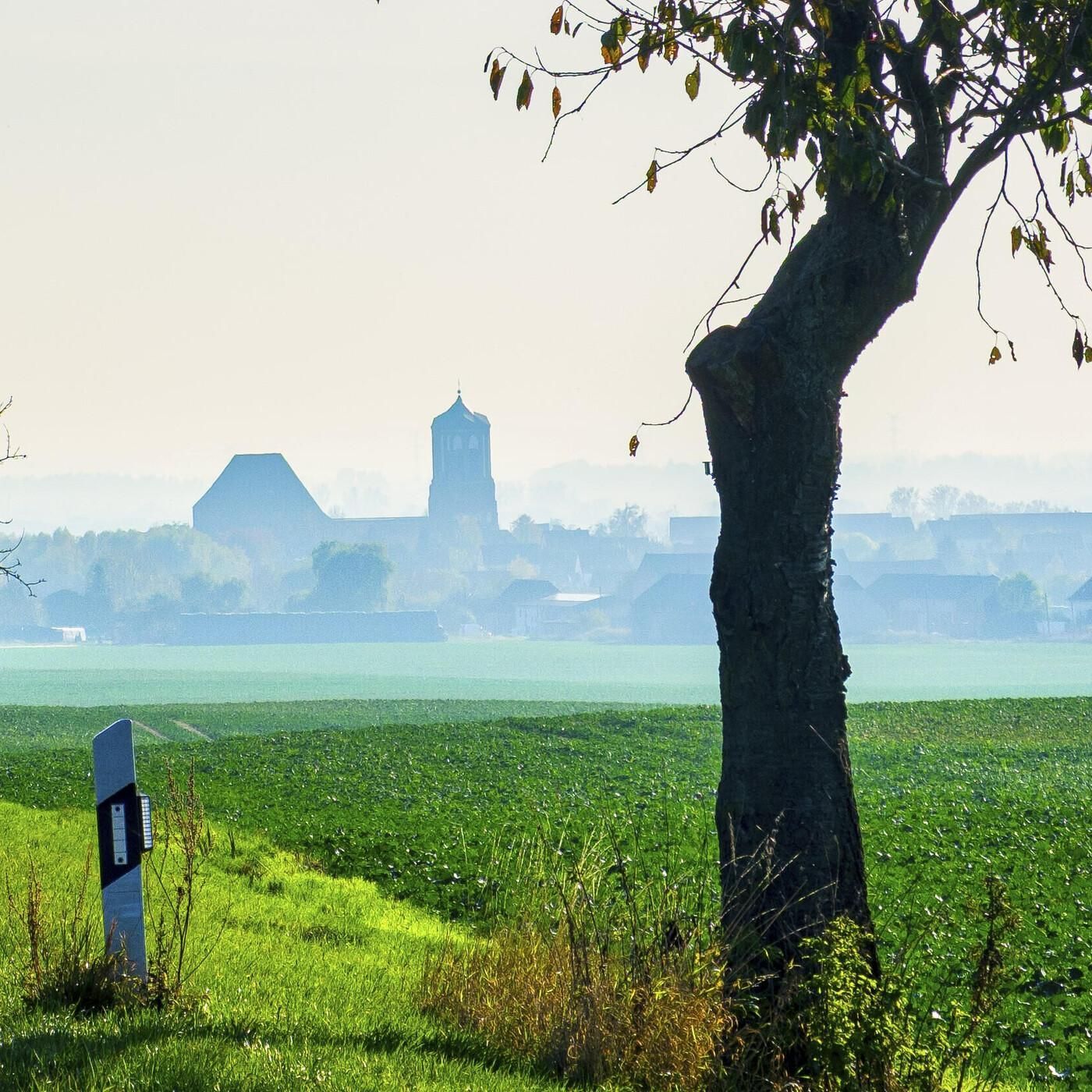 Gartz wählt AfD - und einen jungen Windkraft-Bürgermeister - Luca Piwodda (Gartz)