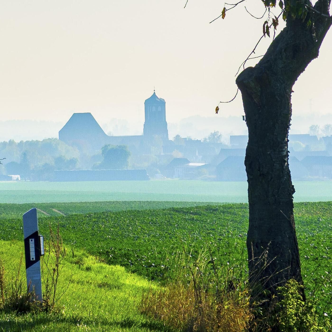 Gartz wählt AfD - und einen jungen Windkraft-Bürgermeister - Luca Piwodda (Gartz)
