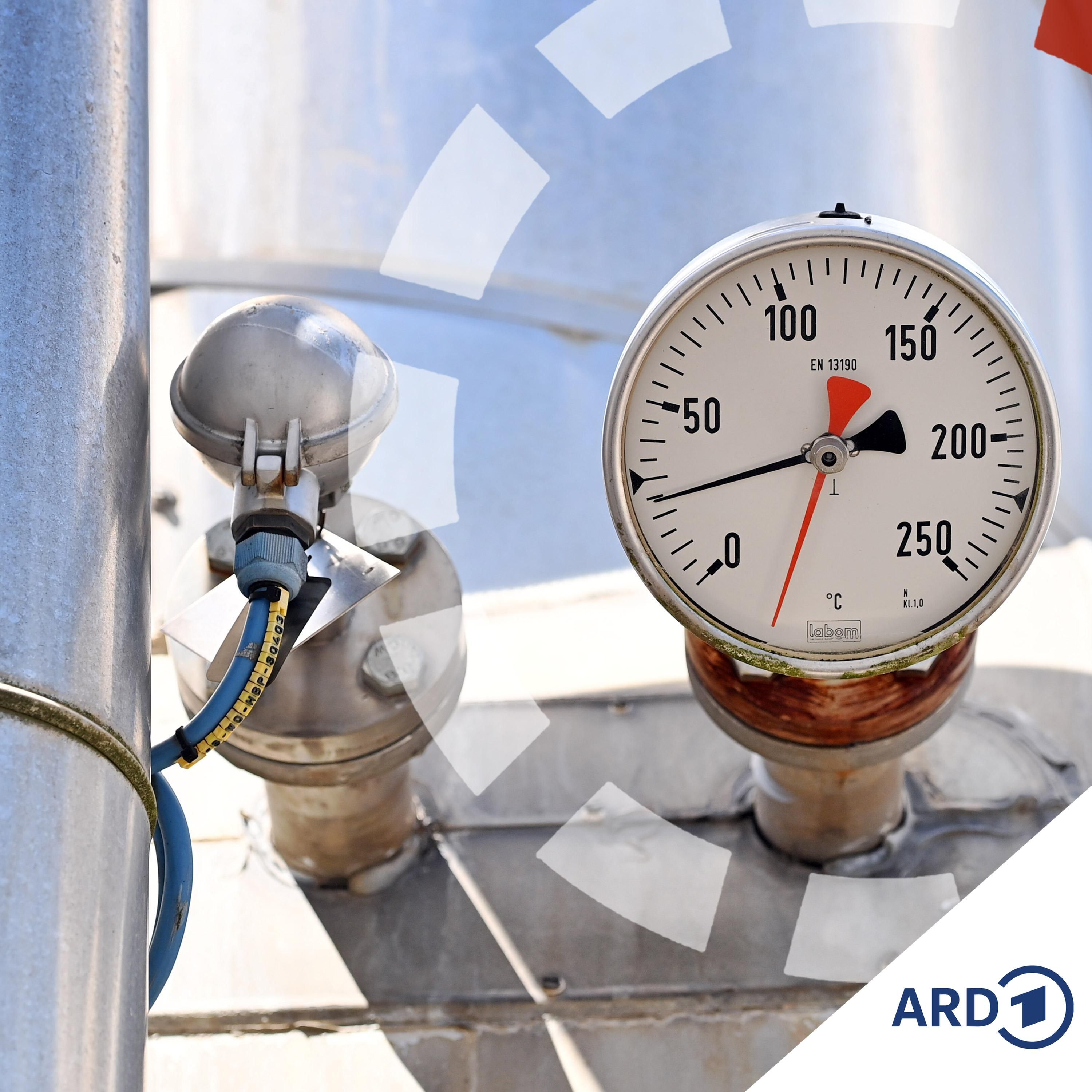 Gasspeicher unter 20%: reicht LNG als Rettung?