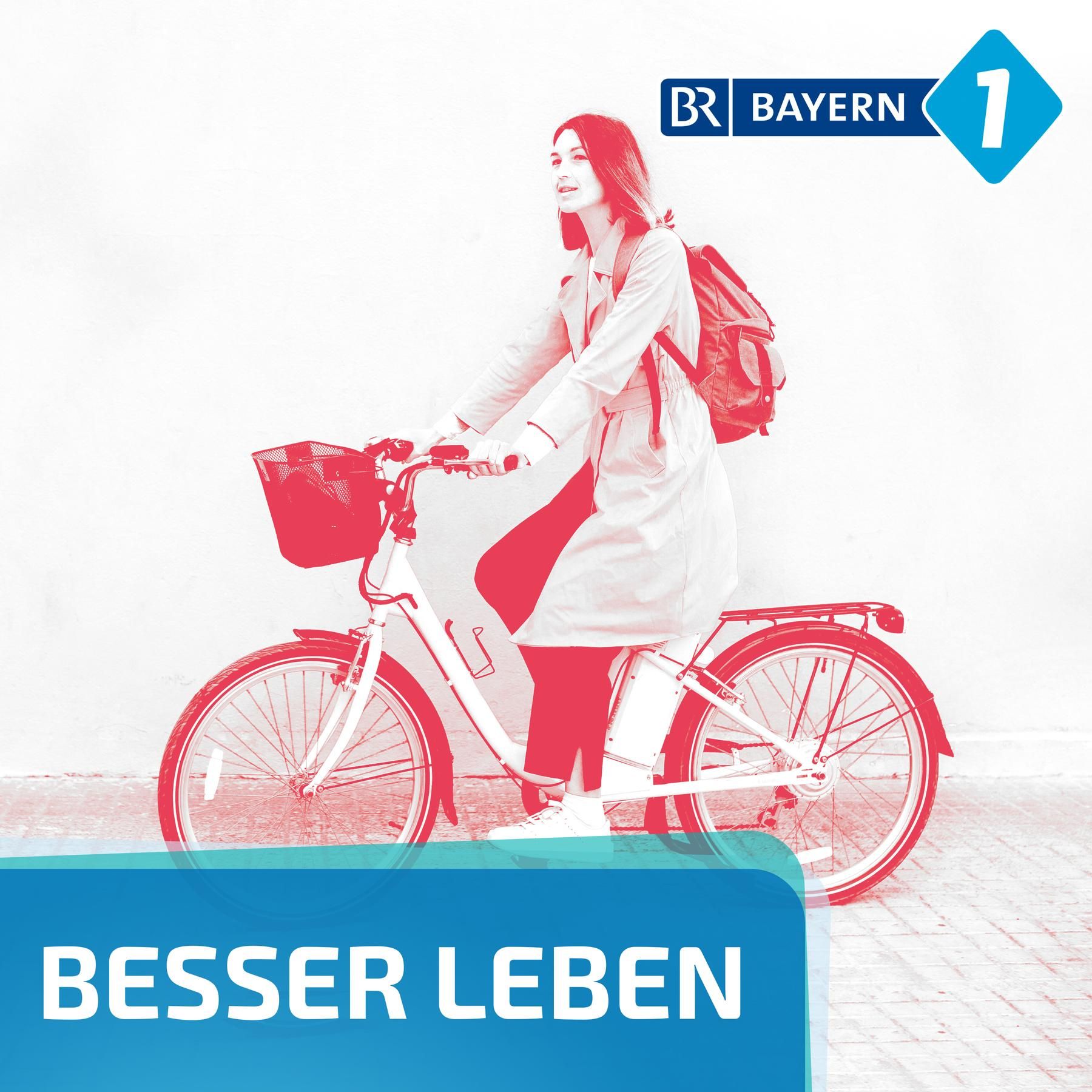 Gebrauchtes E-Bike kaufen?