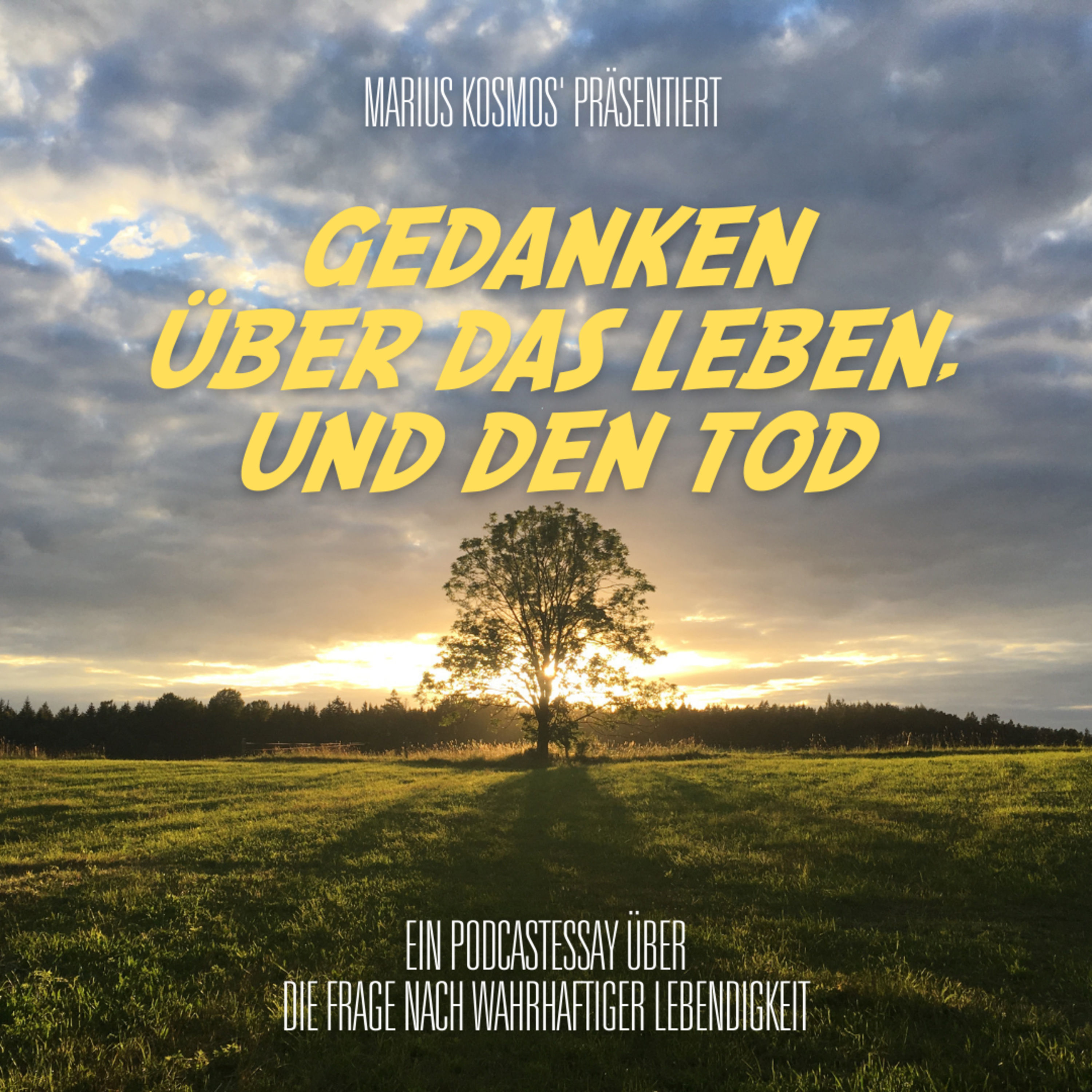 Gedanken über das Leben, und den Tod
