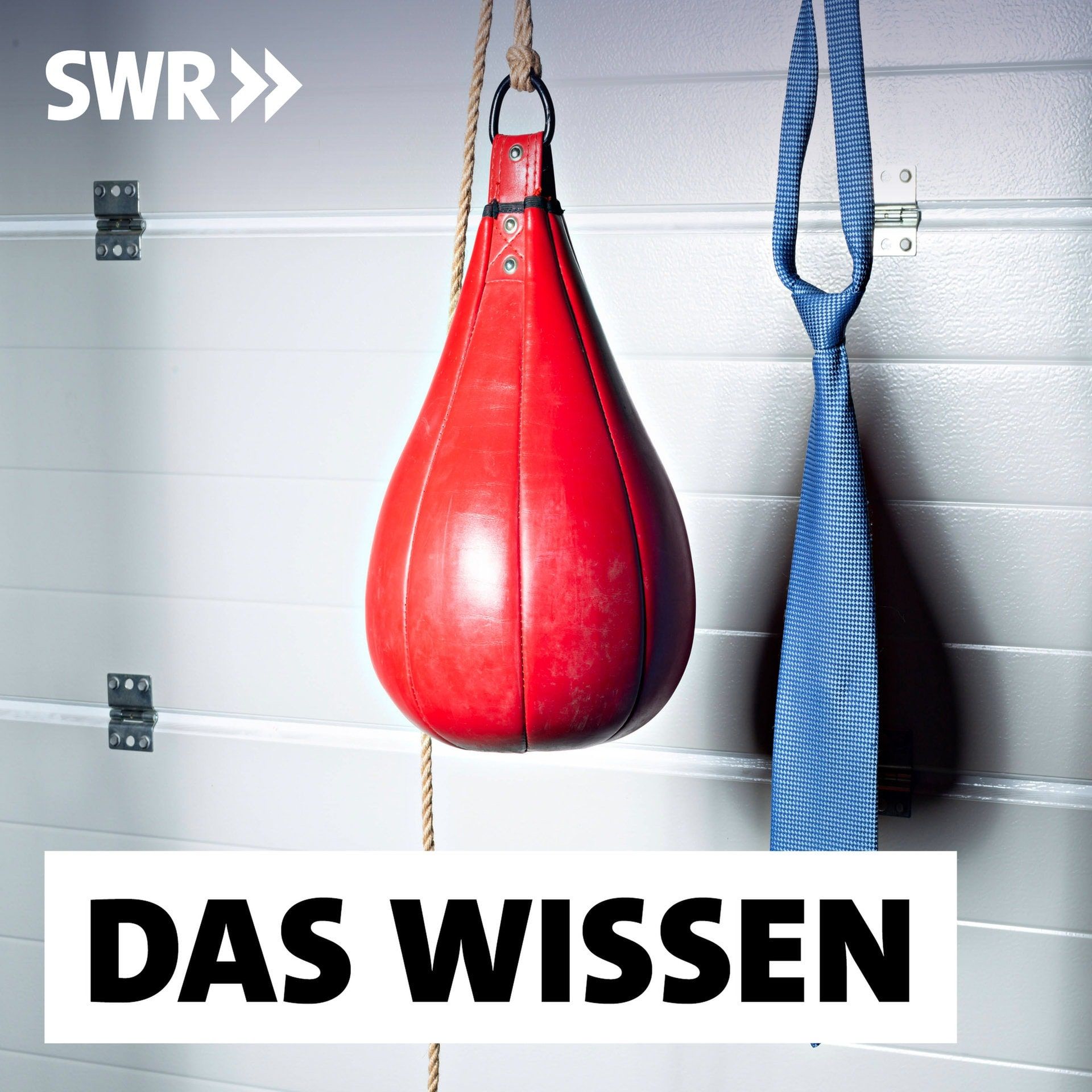 Gefühle in den Griff kriegen – Wie das gelingen kann