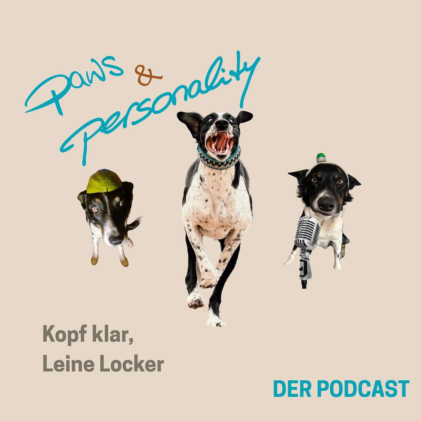 Geführte Morgenmeditation für Klarheit und Verbundenheit mit deinem Hund - ohne Musik