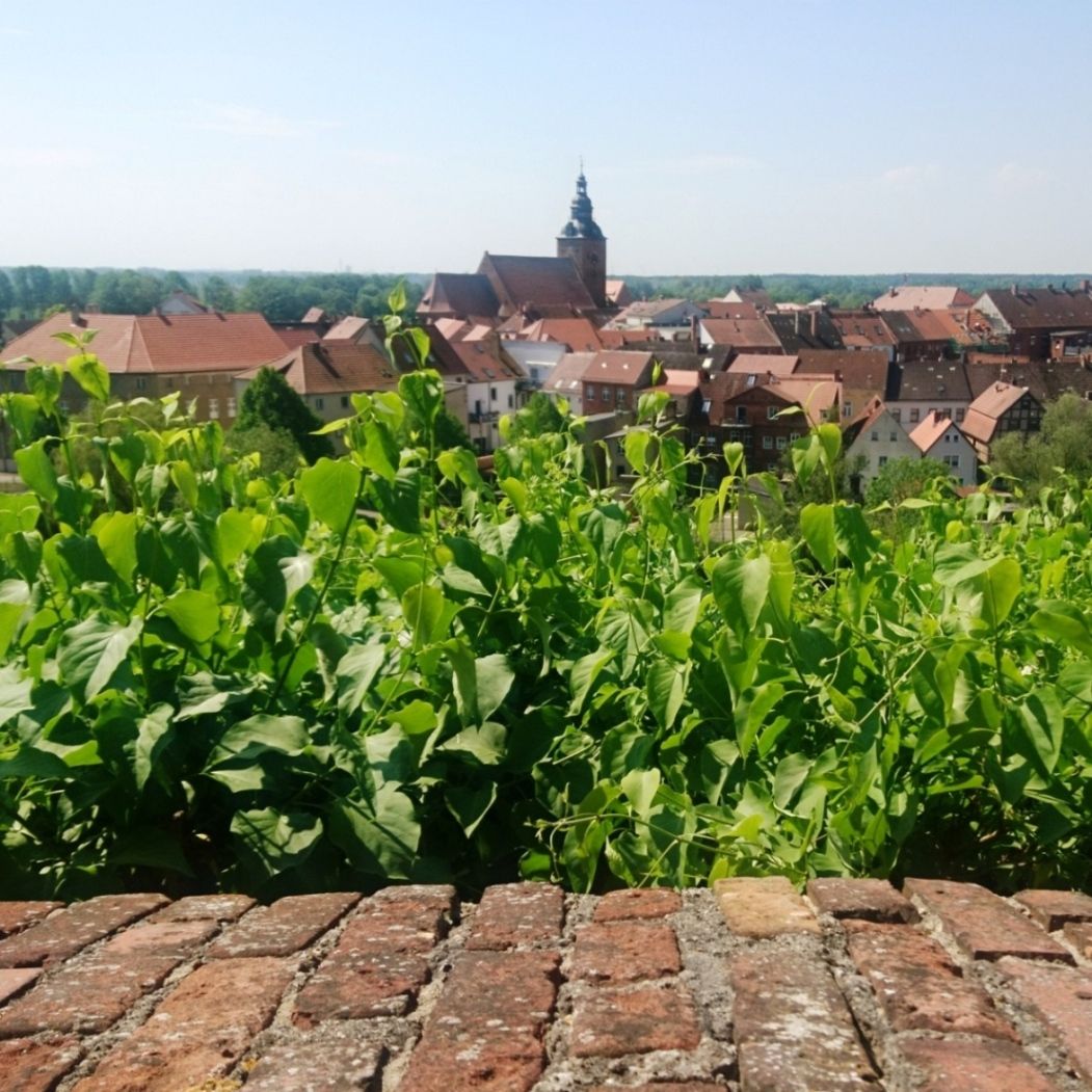 Geheimtipp Havelberg: Die schönsten Plätze entdecken