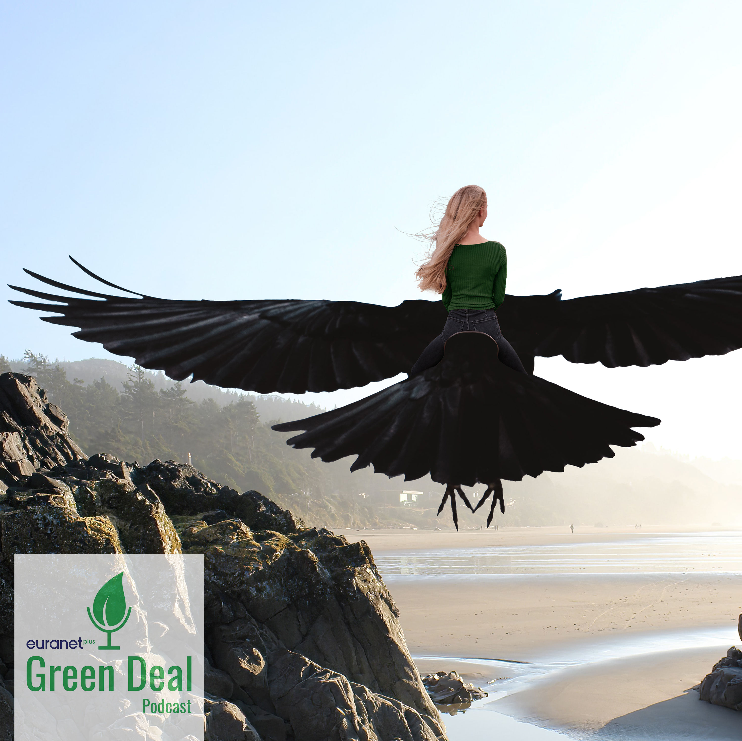 Geht Fliegen auch grüner?