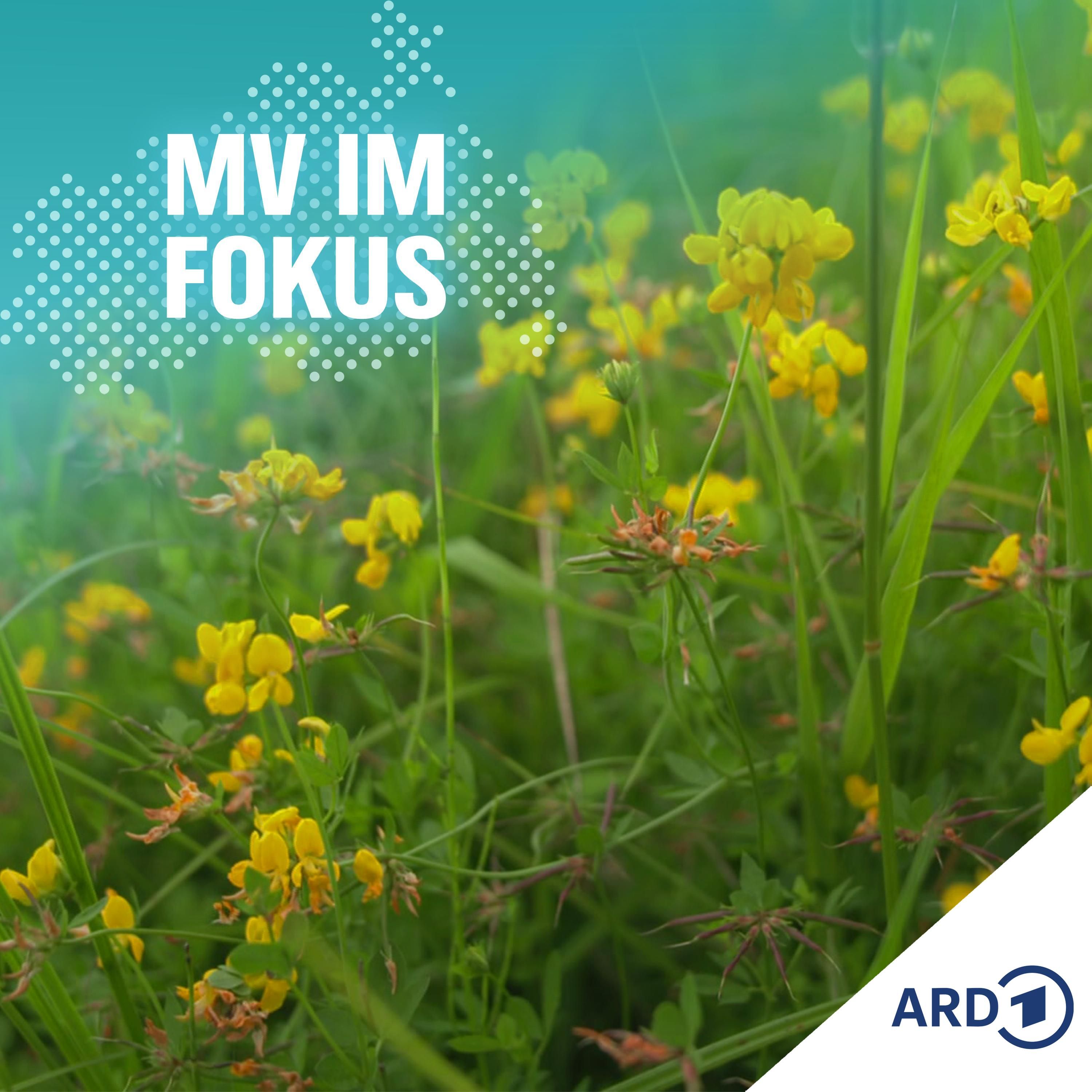 Geld verdienen mit Mooren - Geht das?