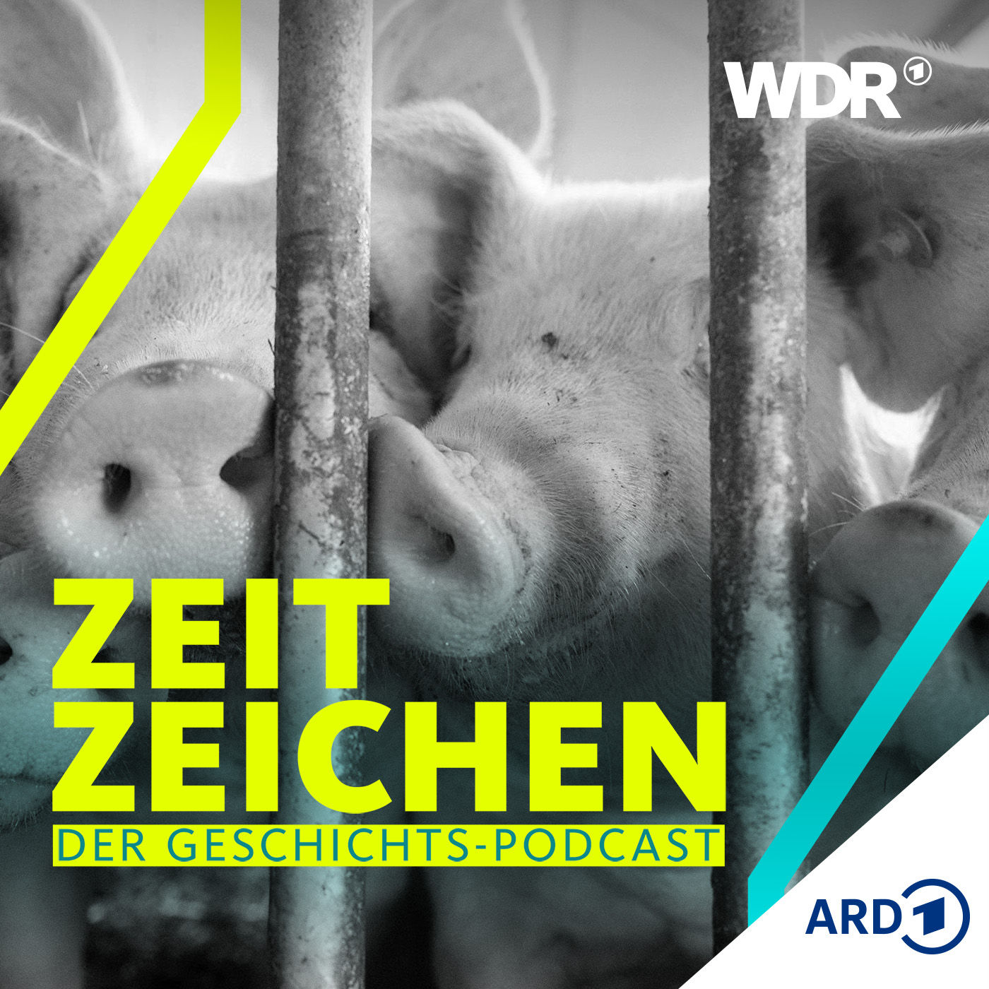 Geliebt, genutzt, gegessen: Was sind Tiere dem Menschen wert?
