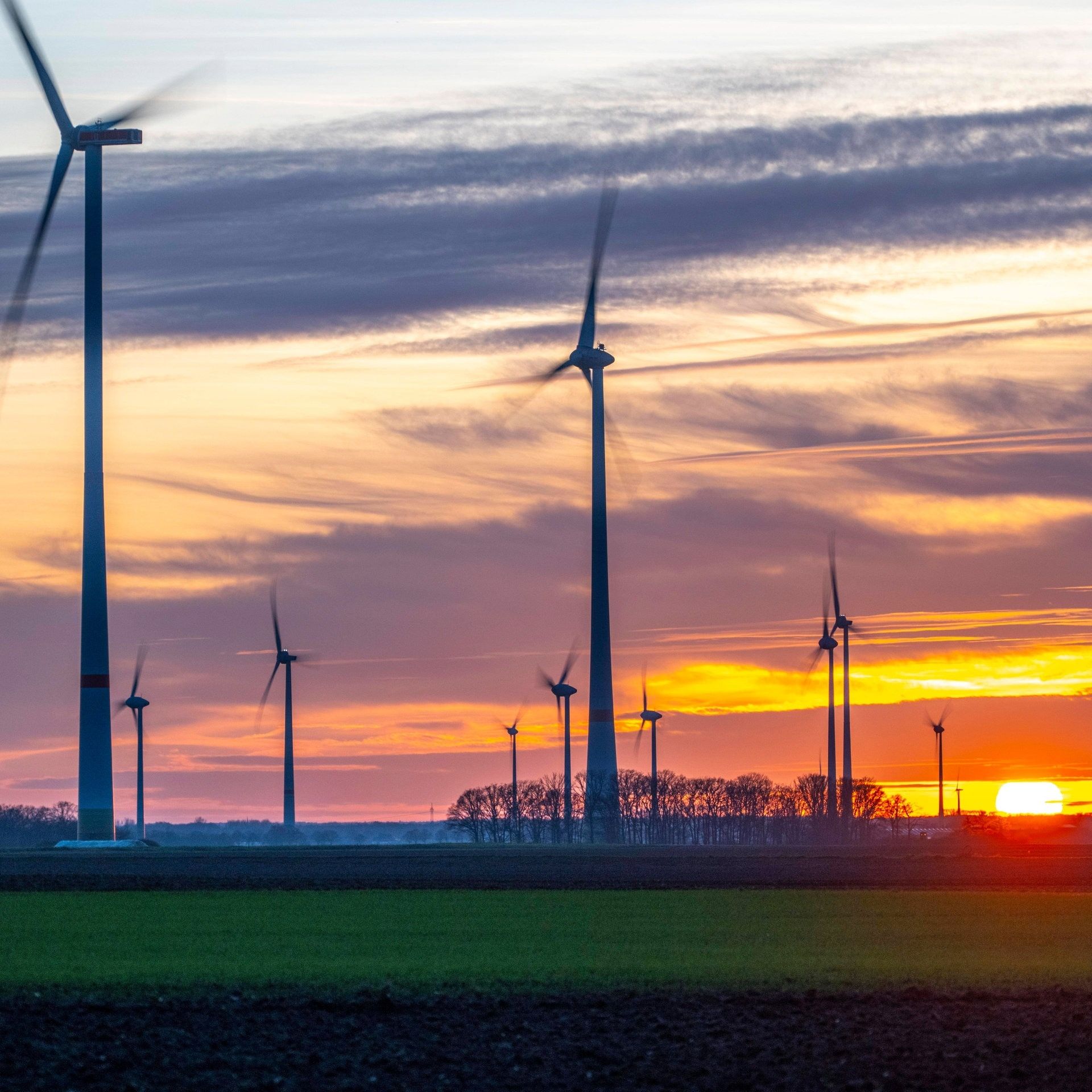 Genehmigungsrekord bei Windenergie-Anlagen in Deutschland