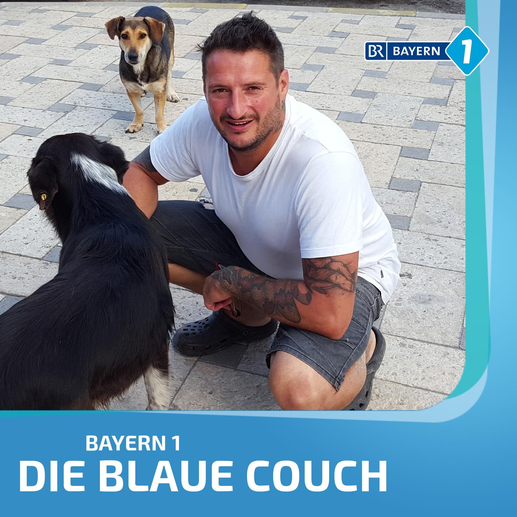 Gerd Schuster, Hundetrainer, "Manchmal muss man einen Hund auch ein bisschen anpöbeln!"