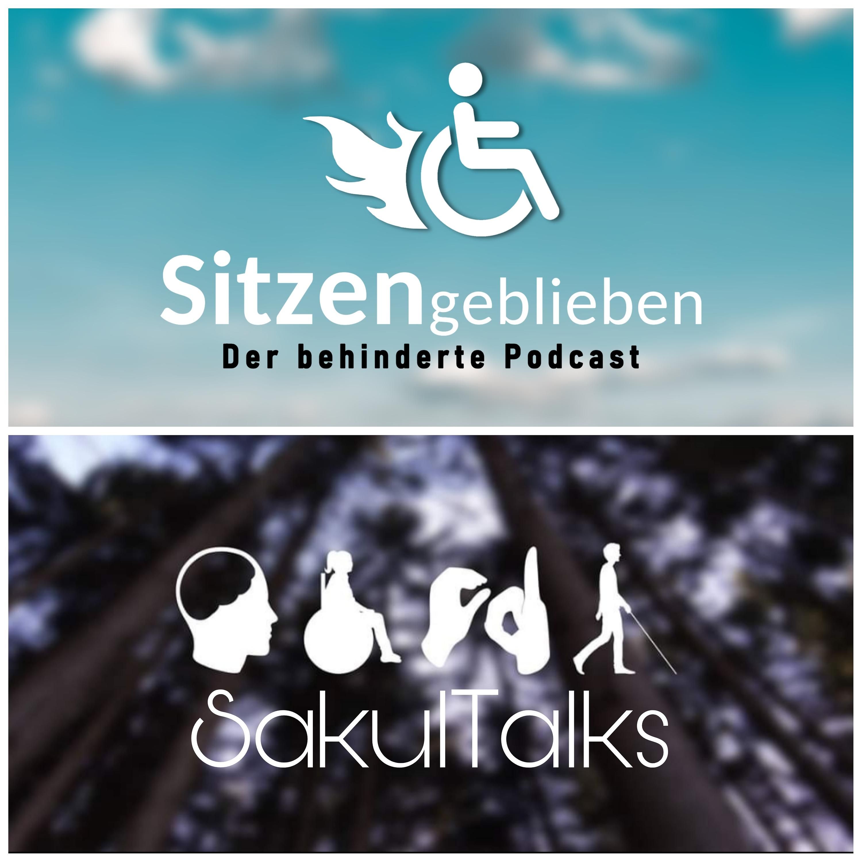 Gerechter Lohn in WfbM ft. SakulTalks aka. Lukas Krämer