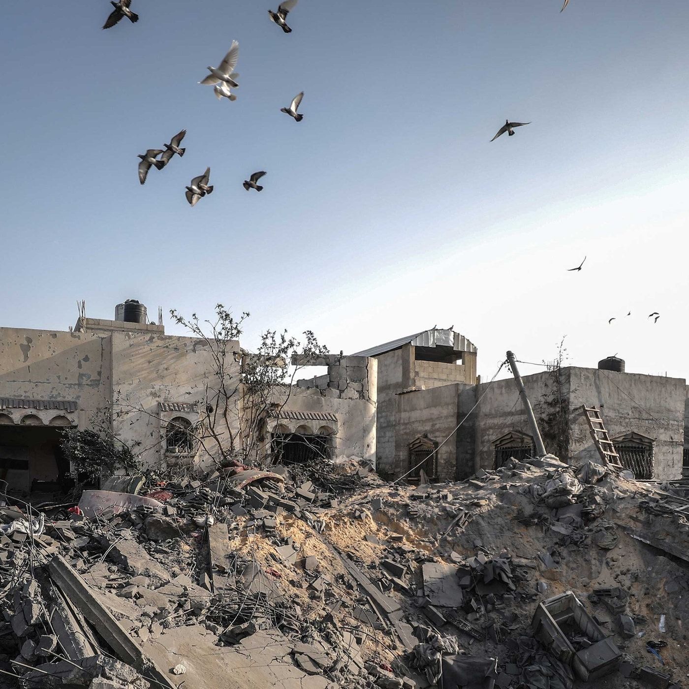 Gerhard Streminger: Theodizee