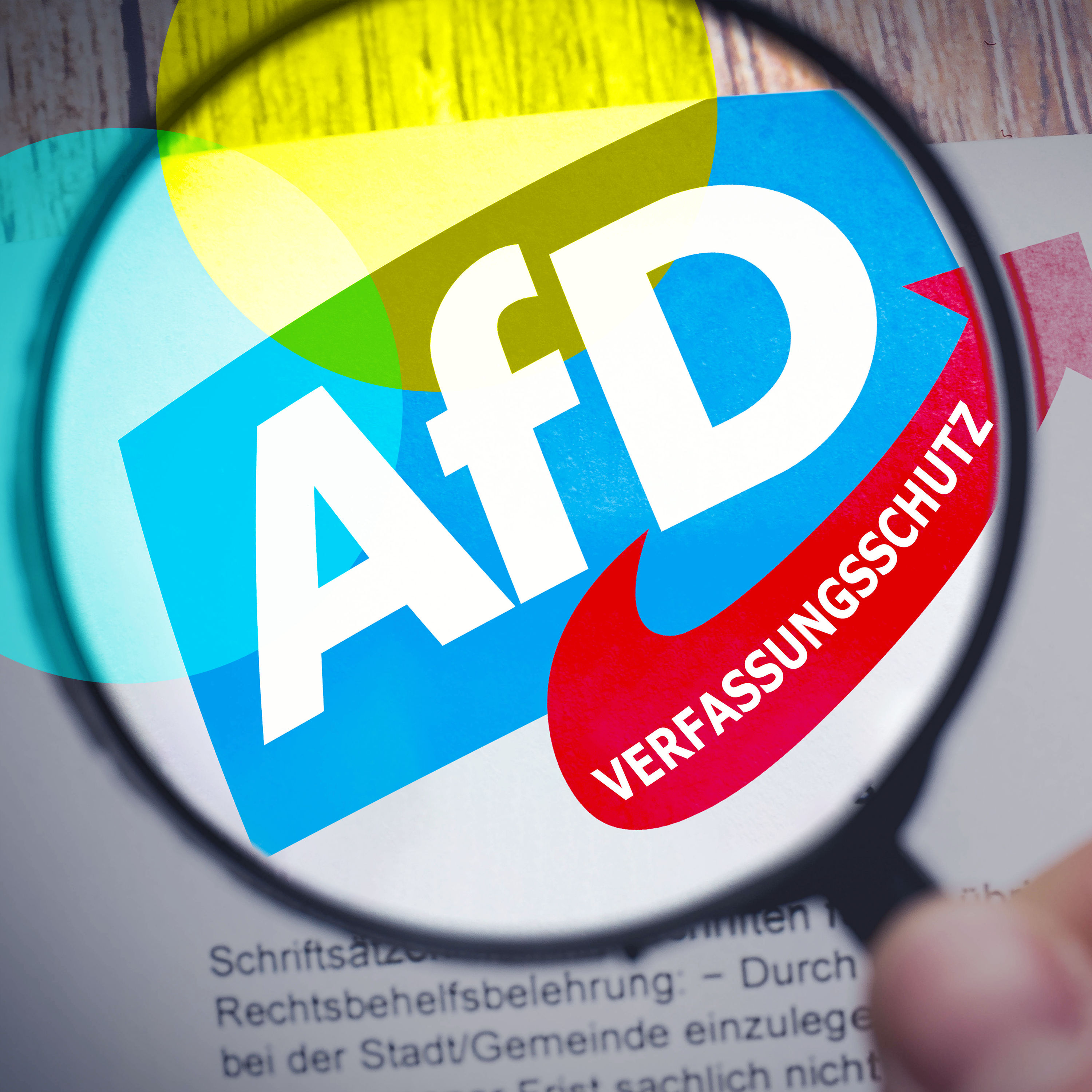 “Gesichert rechtsextrem” – was tun mit der AfD?