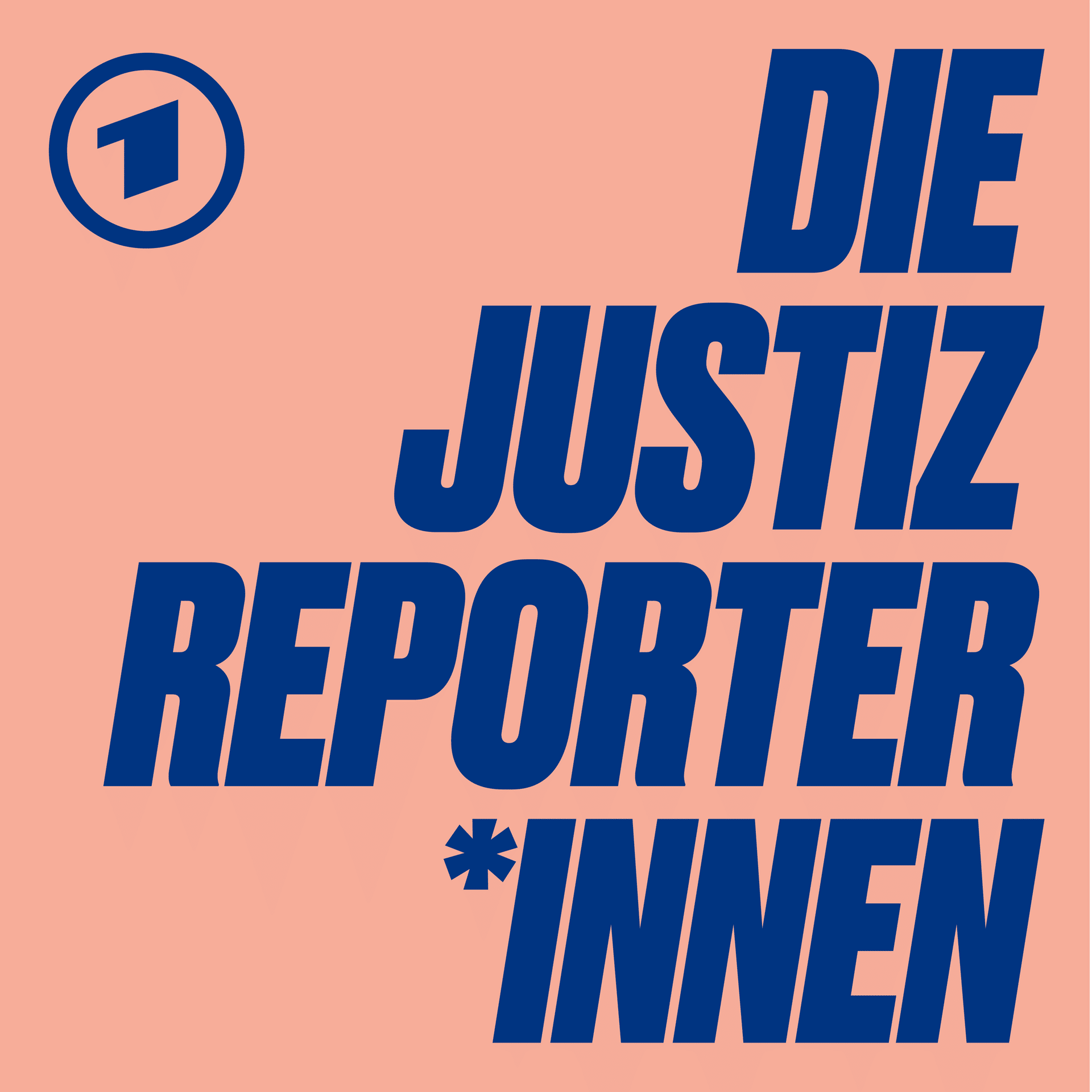 "Gesichert rechtsextremistisch" – Was bedeutet die Einstufung der AfD?