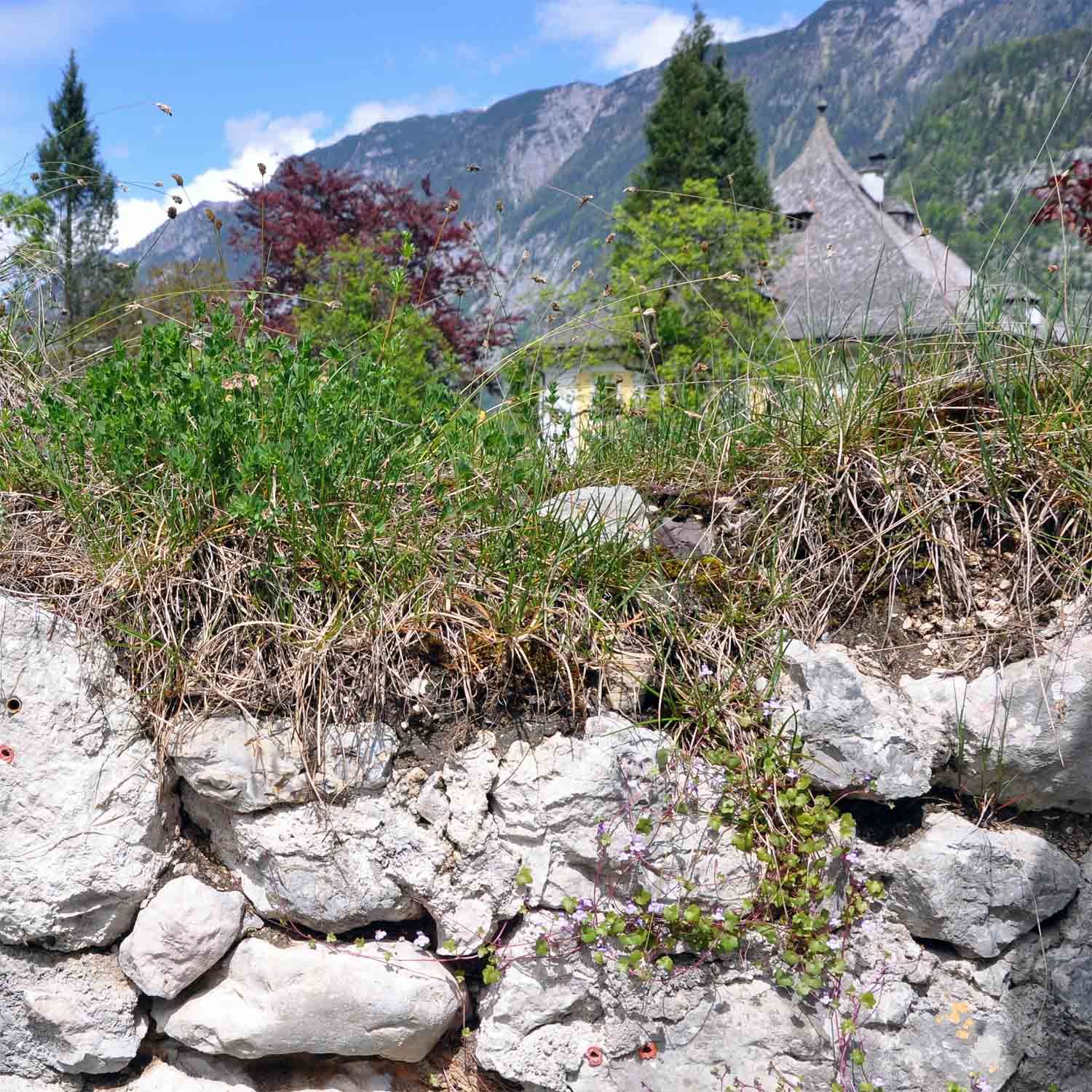 Gespräch über Mauerkronen