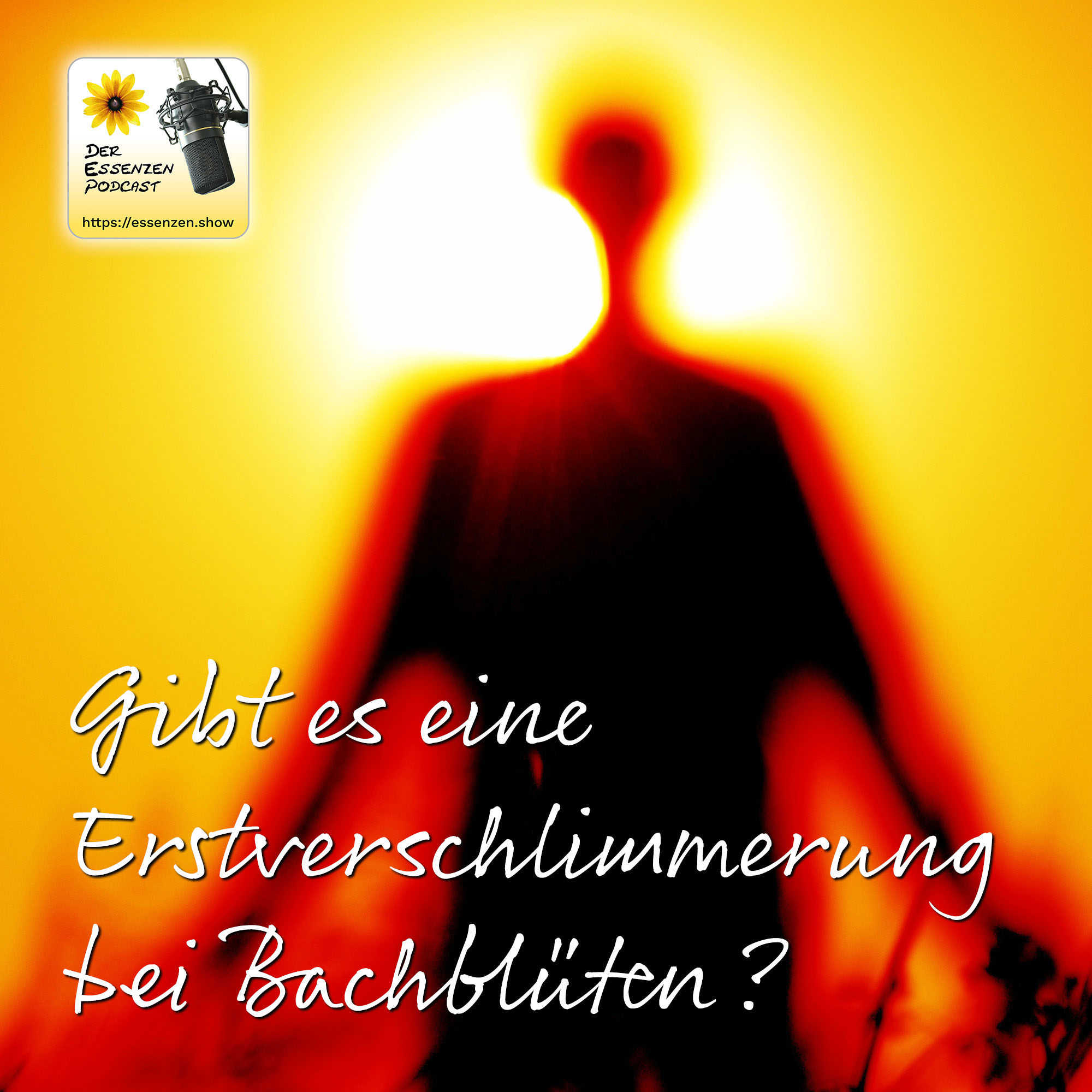 Gibt es eine Erstverschlimmerung bei Bachblüten?