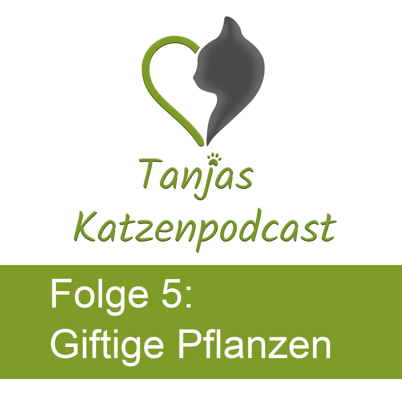 Giftige Pflanzen für Katzen